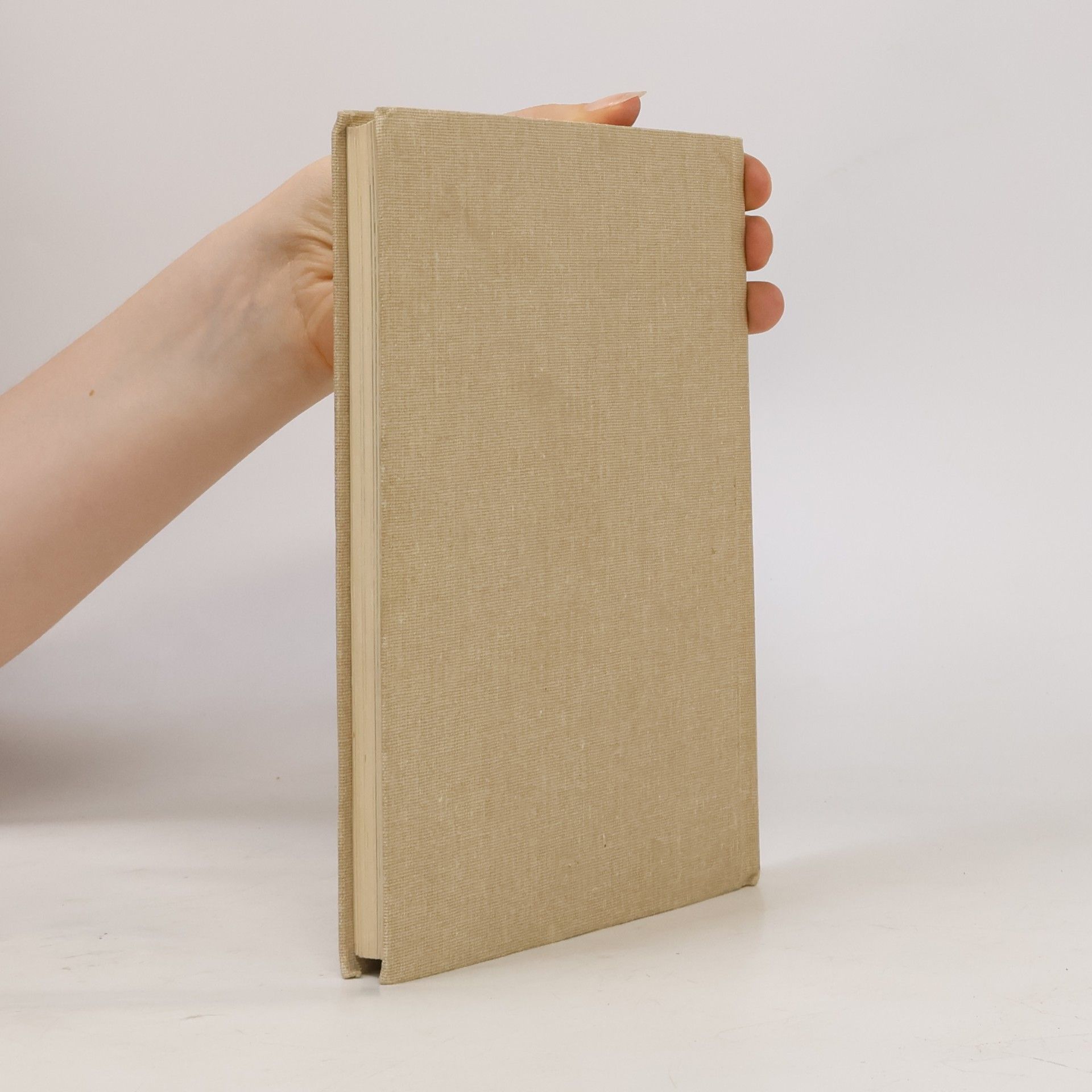 Collectif d'auteurs Biblická dějeprava