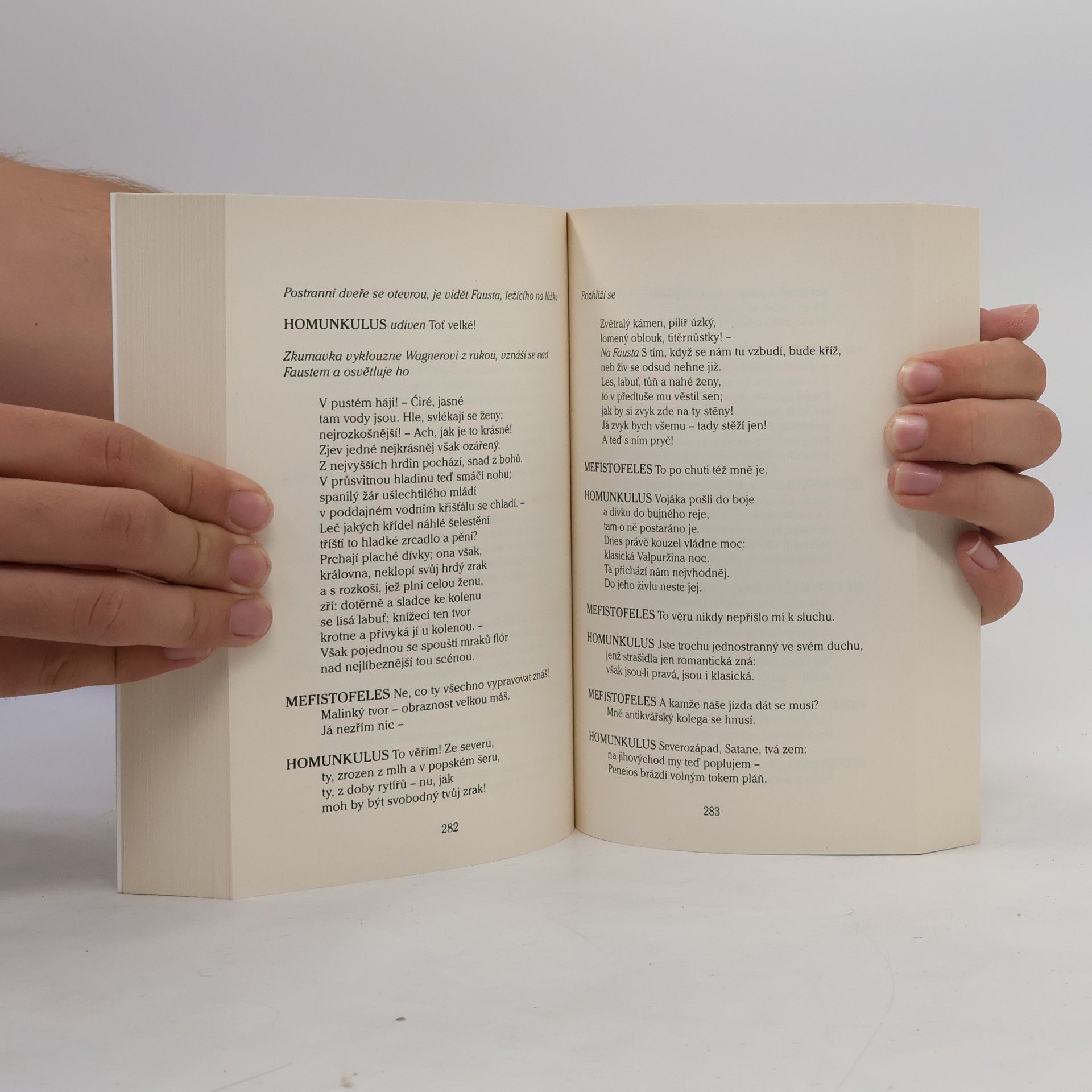 Johann Wolfgang von Goethe Faust