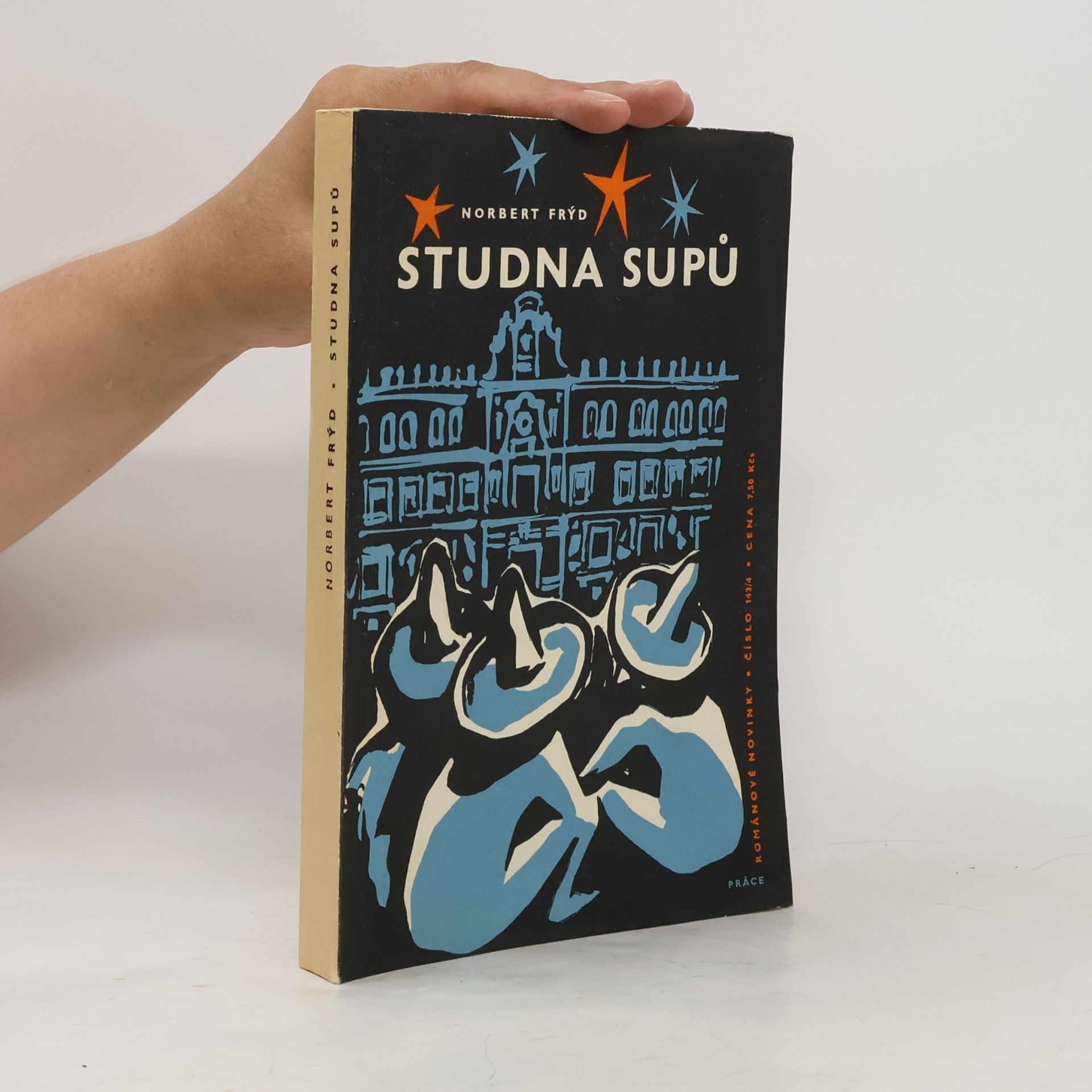 Norbert Frýd Studna supů : román