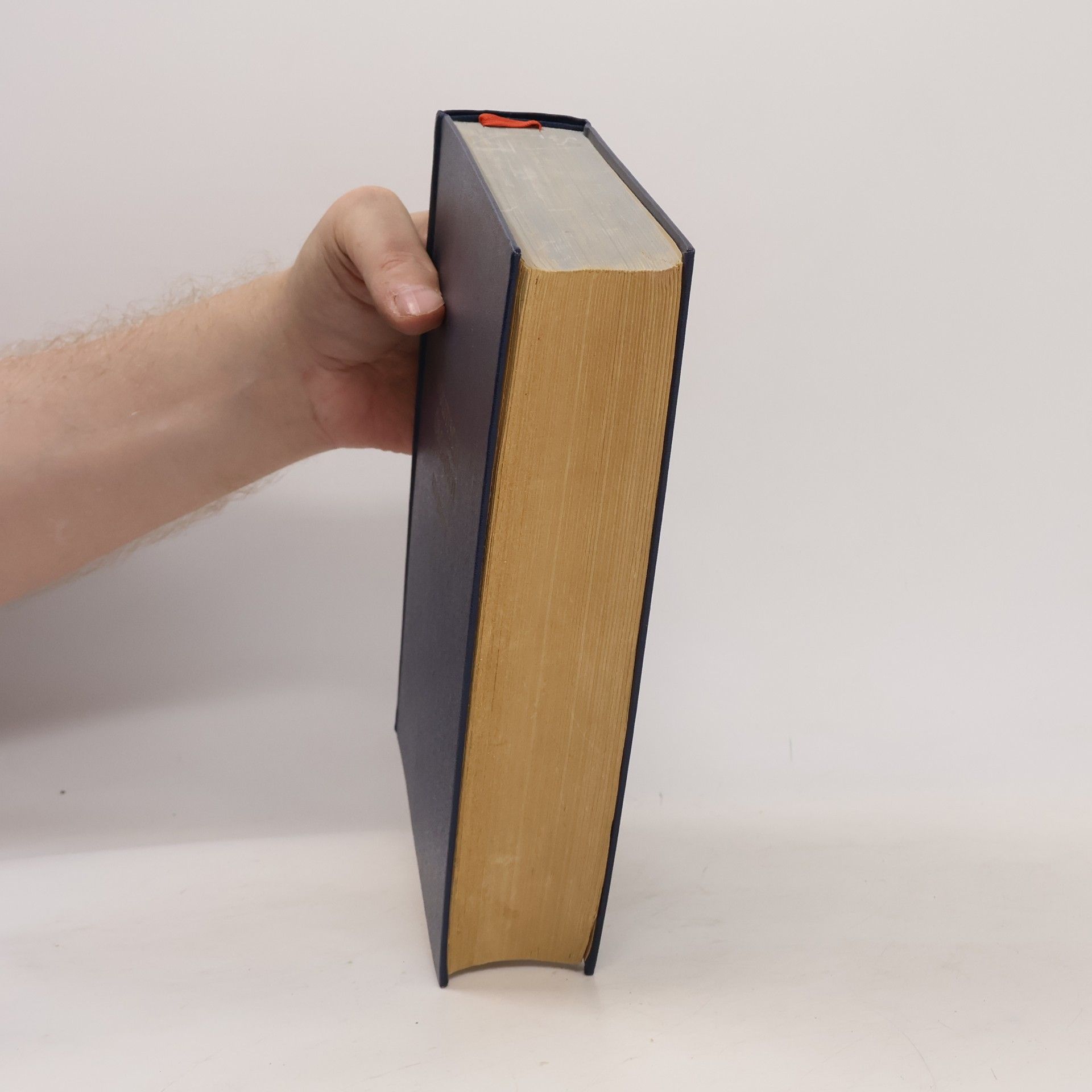 Autorenkollektiv Politische Ökonomie Lehrbuch