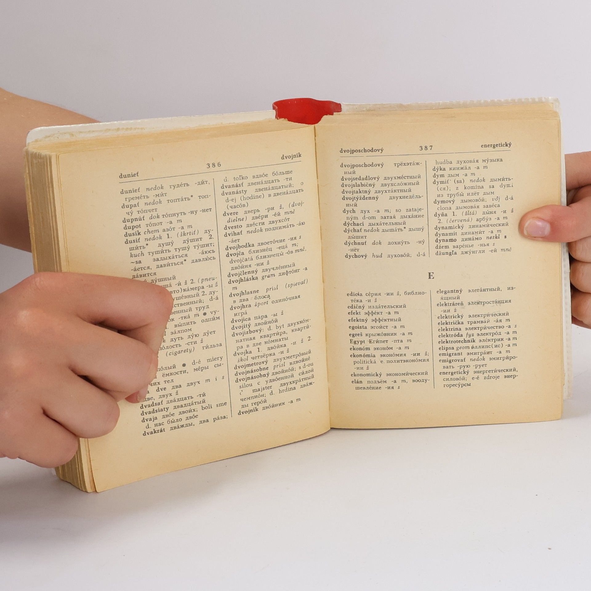 Autorenkollektiv Rusko-slovenský/Slovensko-ruský vreckový slovník