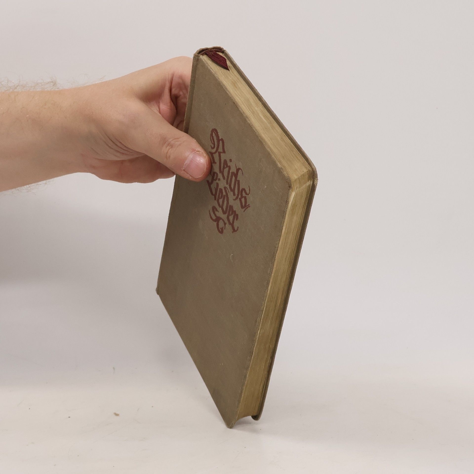 Kolektív autorov Reichs-Lieder: Deutsches Gemeinschafts-Liederbuch