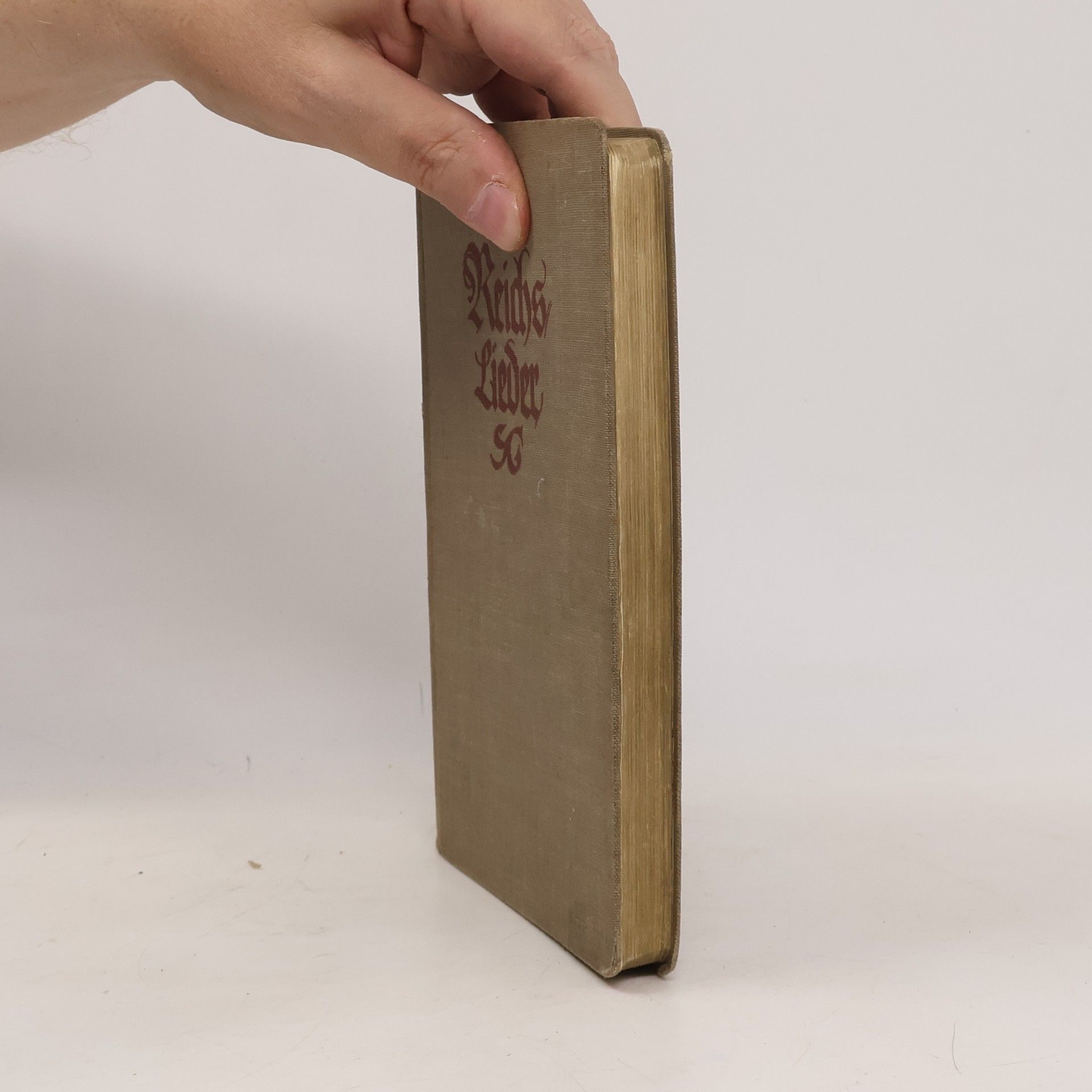 Kolektív autorov Reichs-Lieder: Deutsches Gemeinschafts-Liederbuch