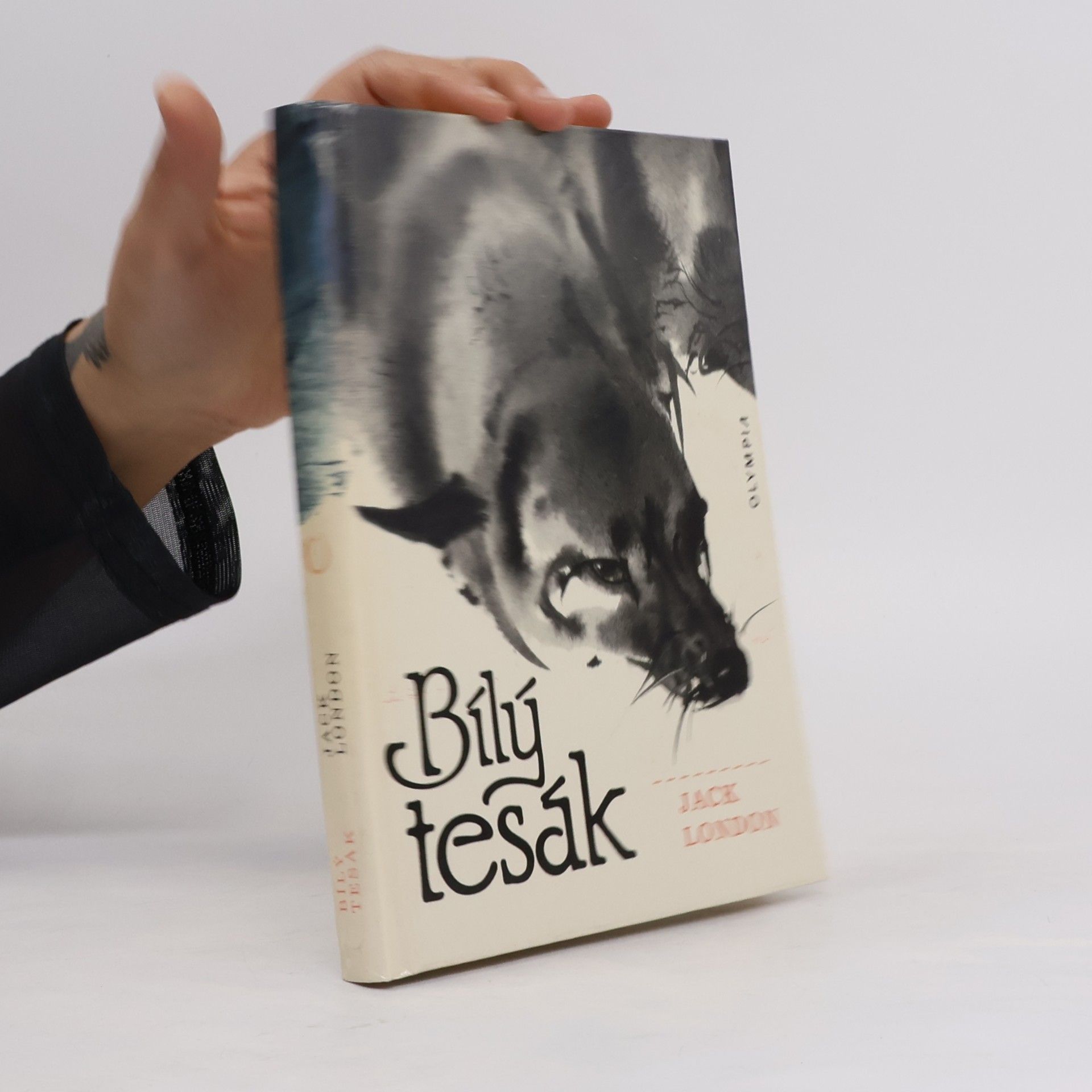 Bílý tesák