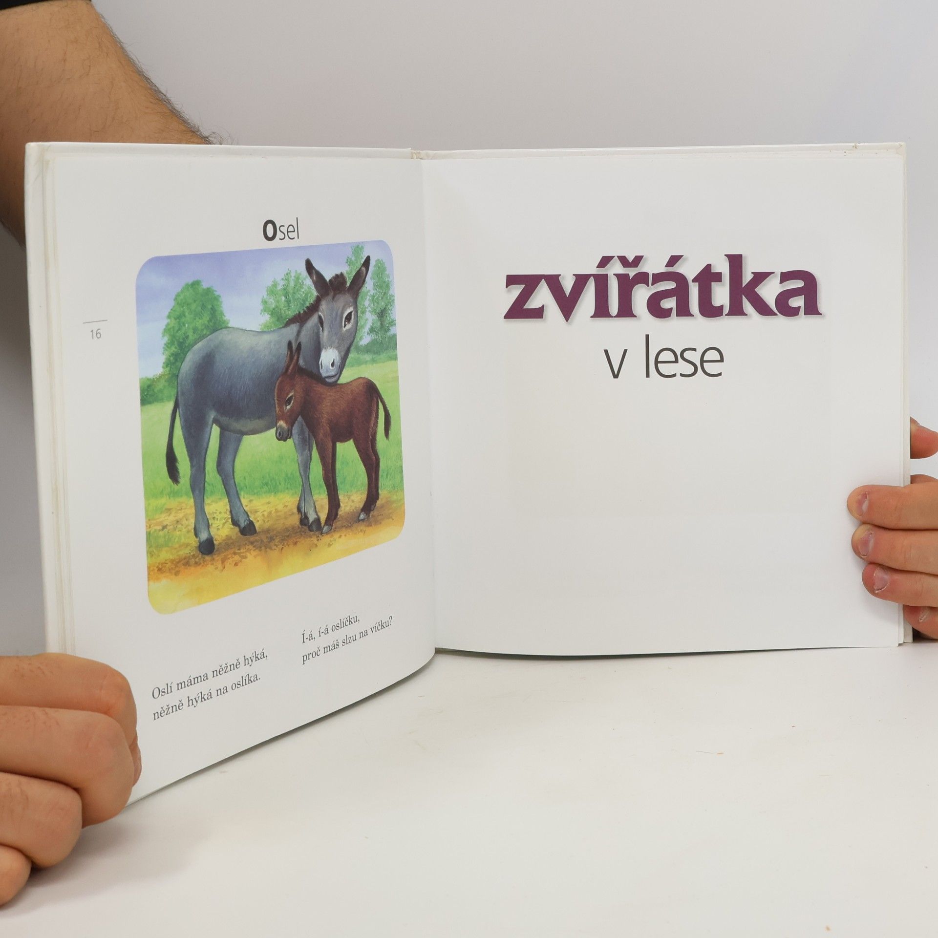 Jiří Žáček Kamarádi zvířátka