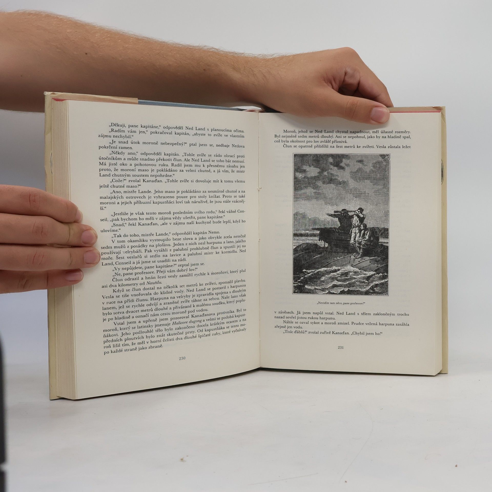 Jules Verne Dvacet tisíc mil pod mořem