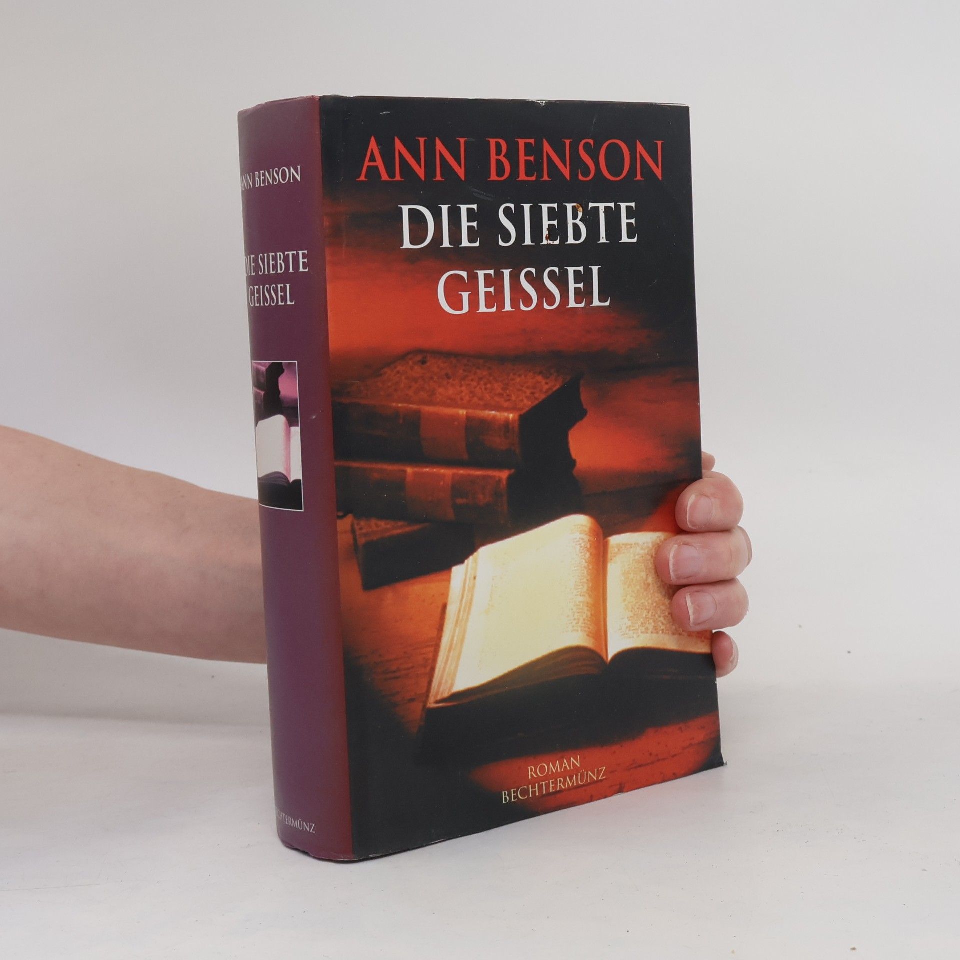 Ann Benson Die siebte Geissel