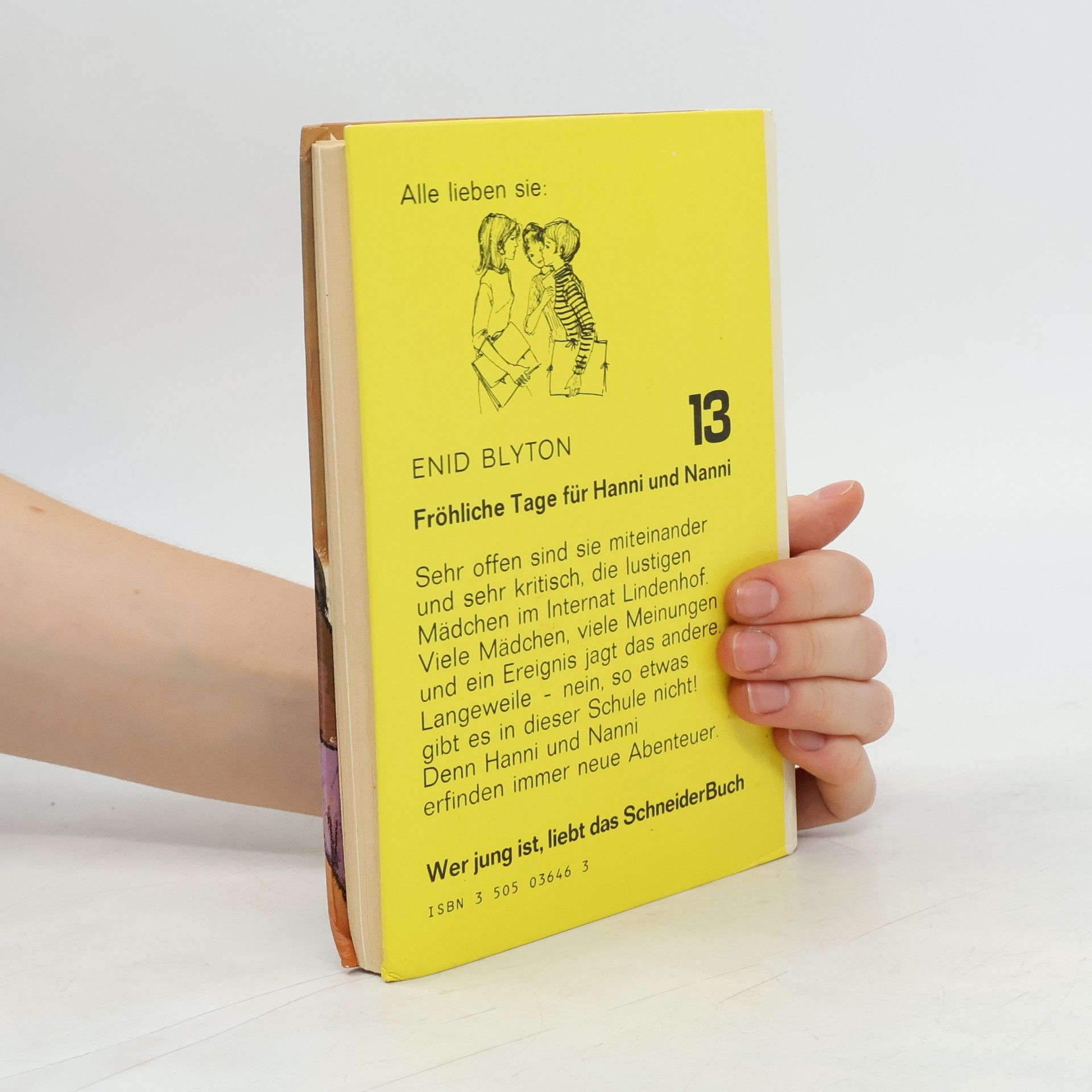 Enid Blyton Fröhliche Tage für Hanni und Nanni
