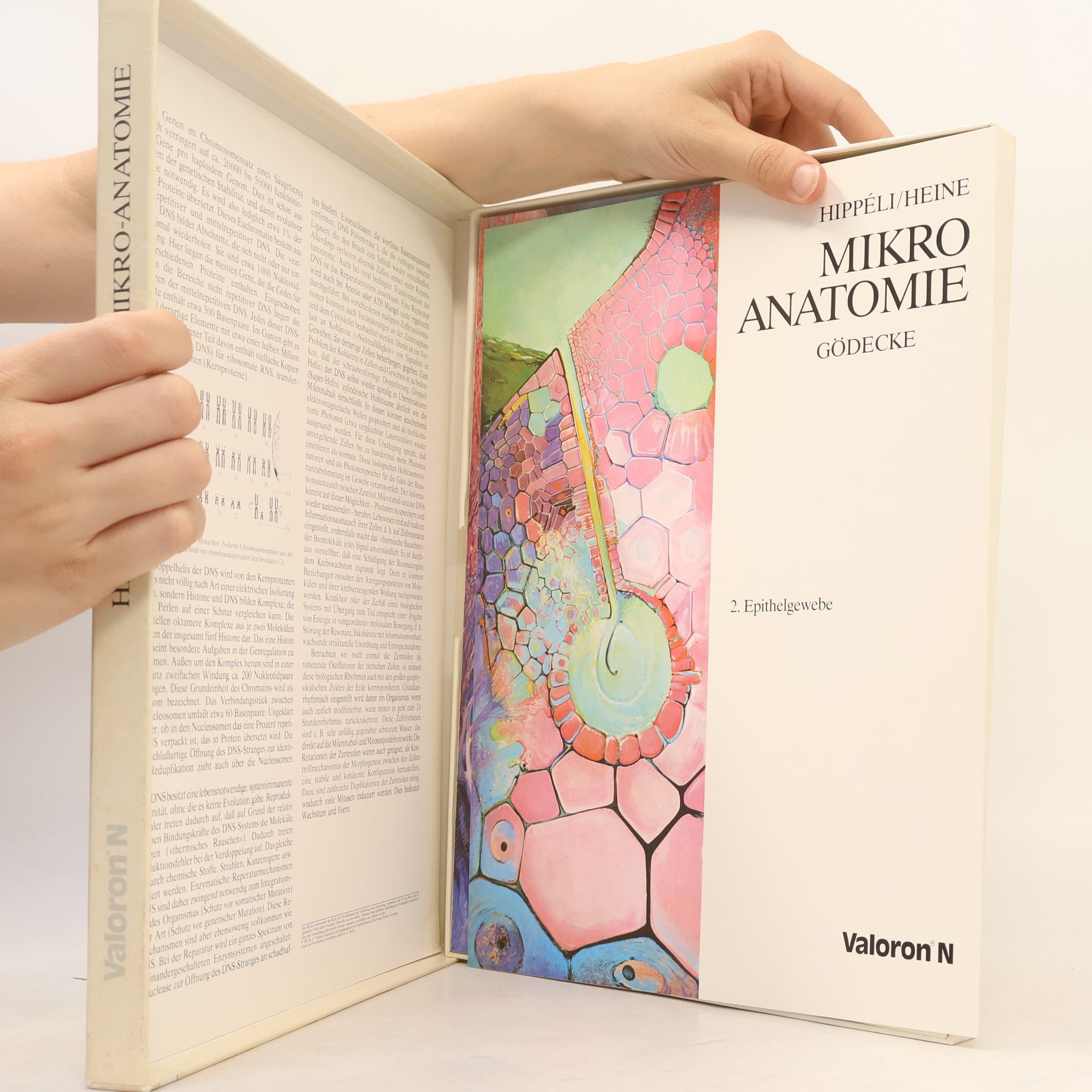 Autorenkollektiv Mikro Anatomie
