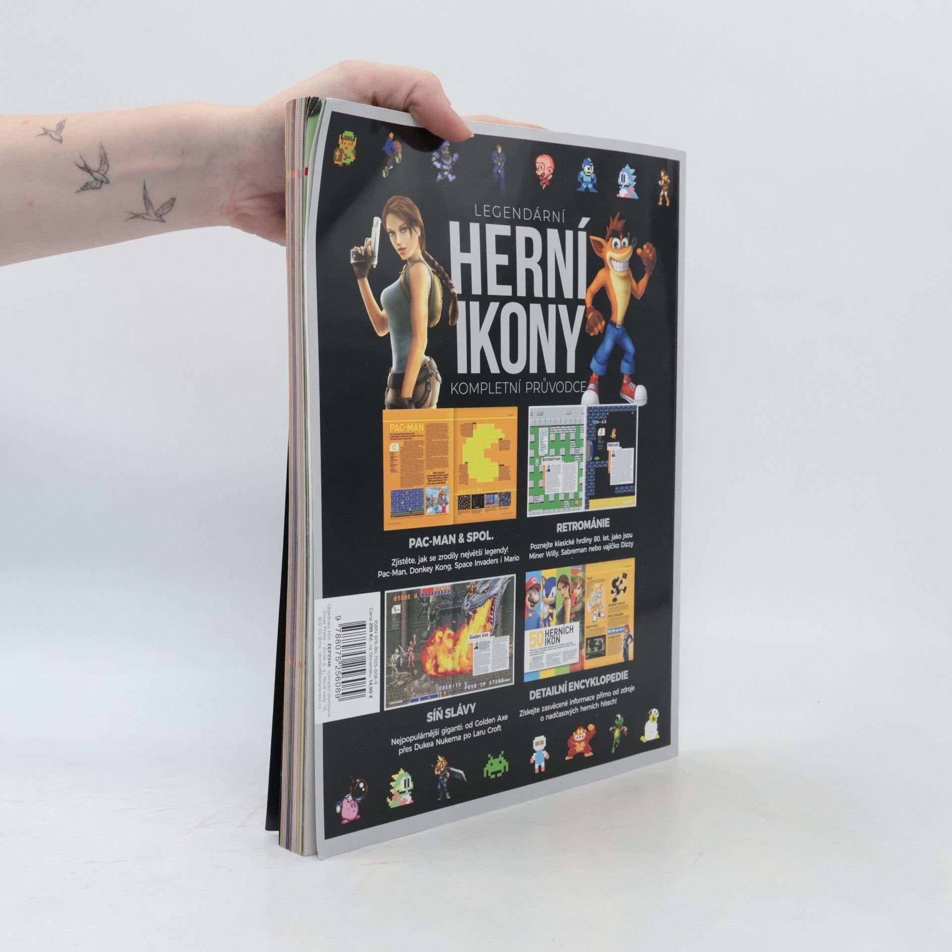 Autorenkollektiv Legendární herní ikony. Kompletní průvodce