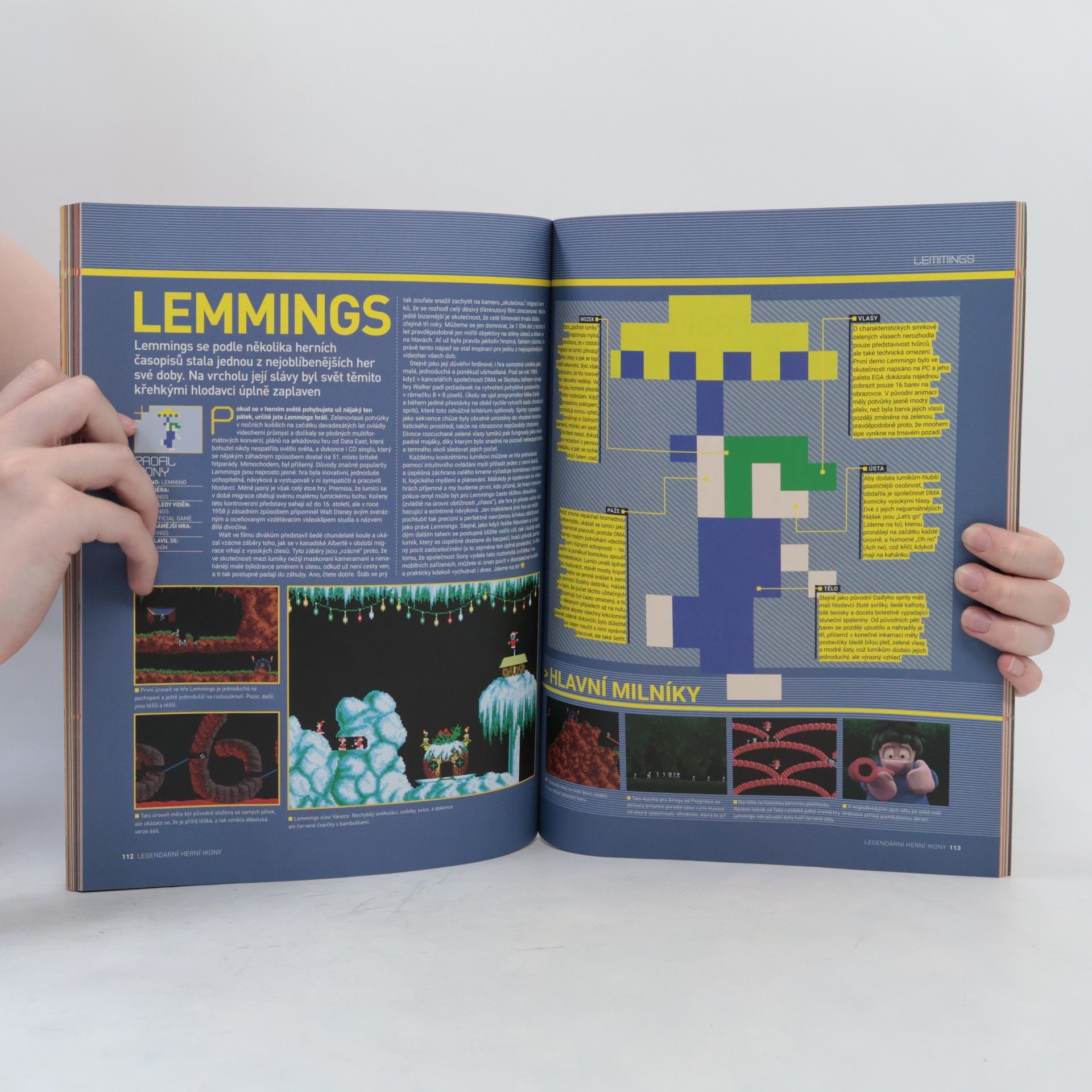 Autorenkollektiv Legendární herní ikony. Kompletní průvodce