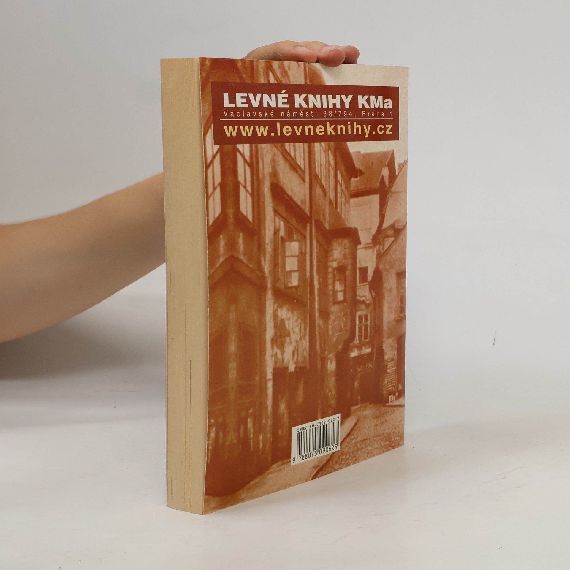 Karel Ladislav Kukla Pražské bahno. 1. díl, Pražská prostituce