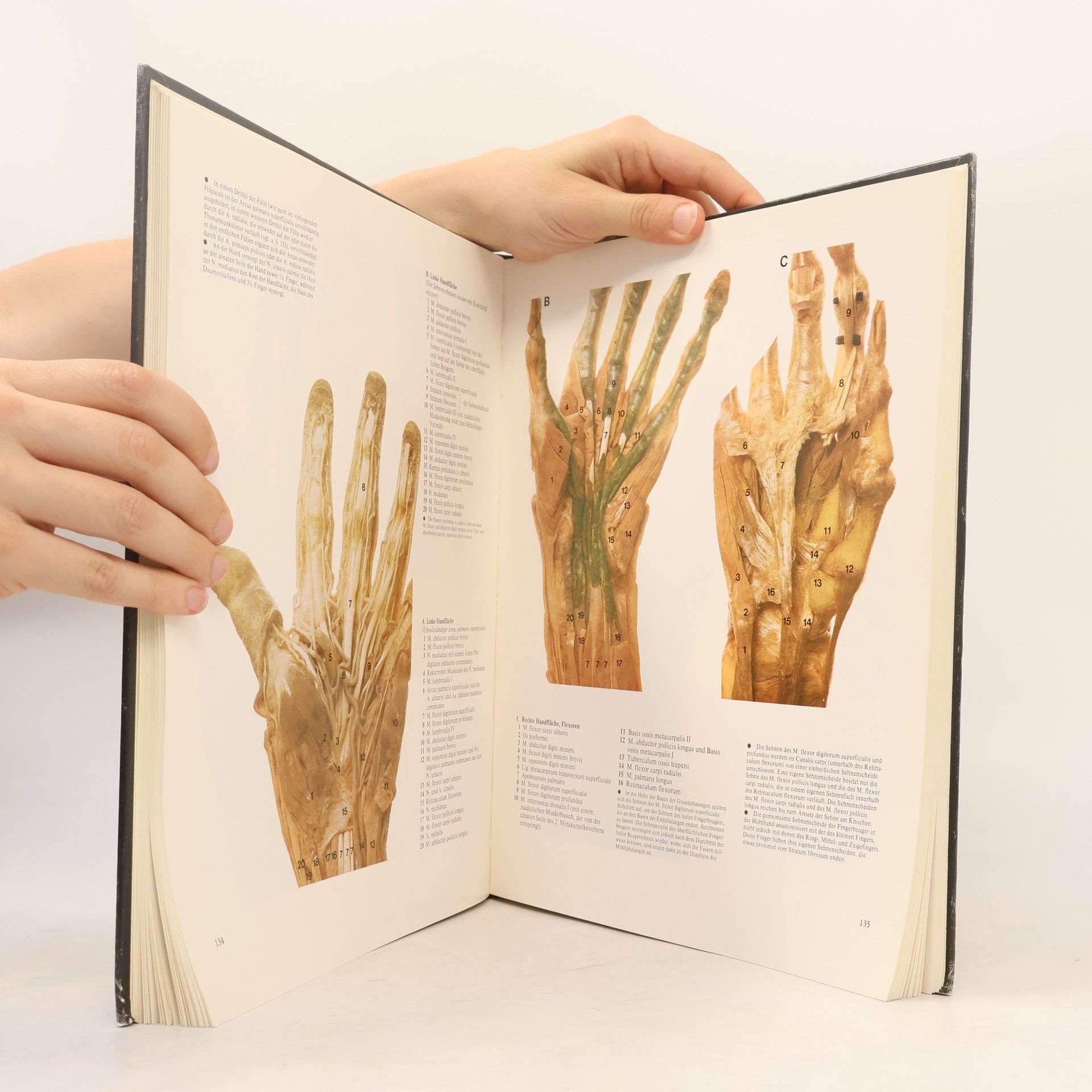 Robert M. H. McMinn Photographischer Atlas der Anatomie des Menschen