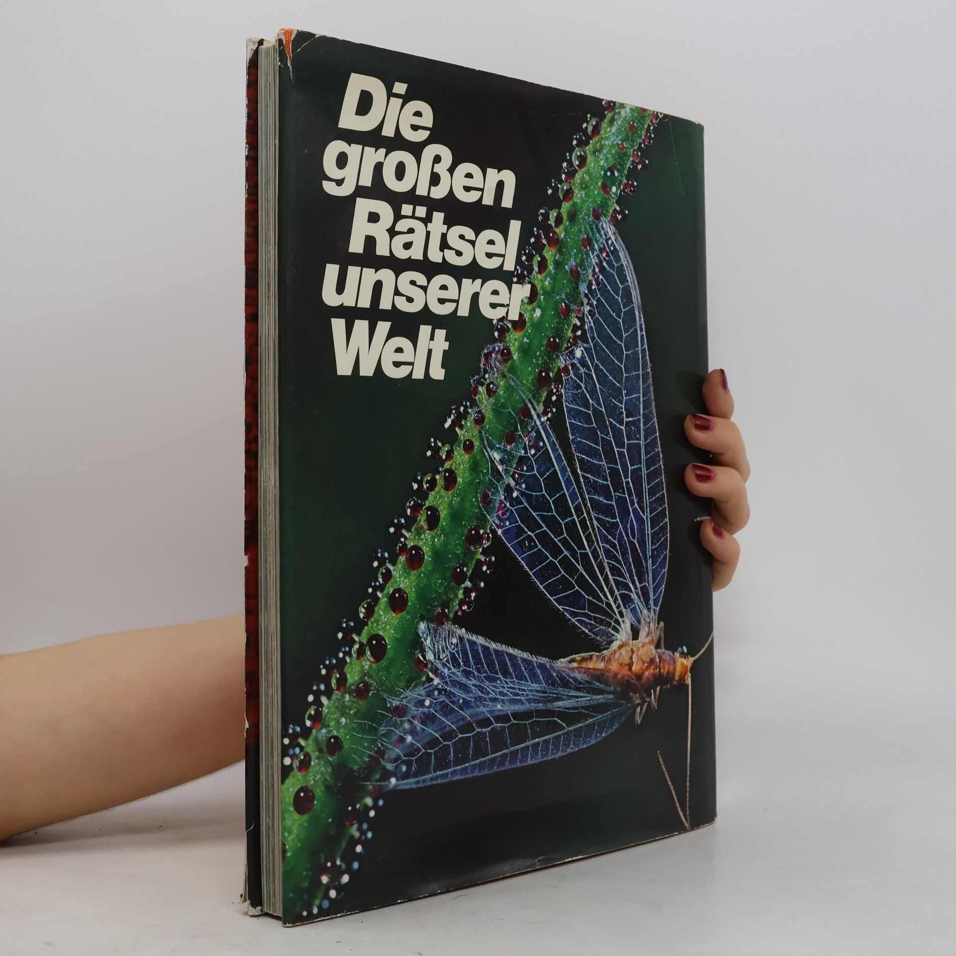 Roland Gööck Die großen Rätsel unserer Welt