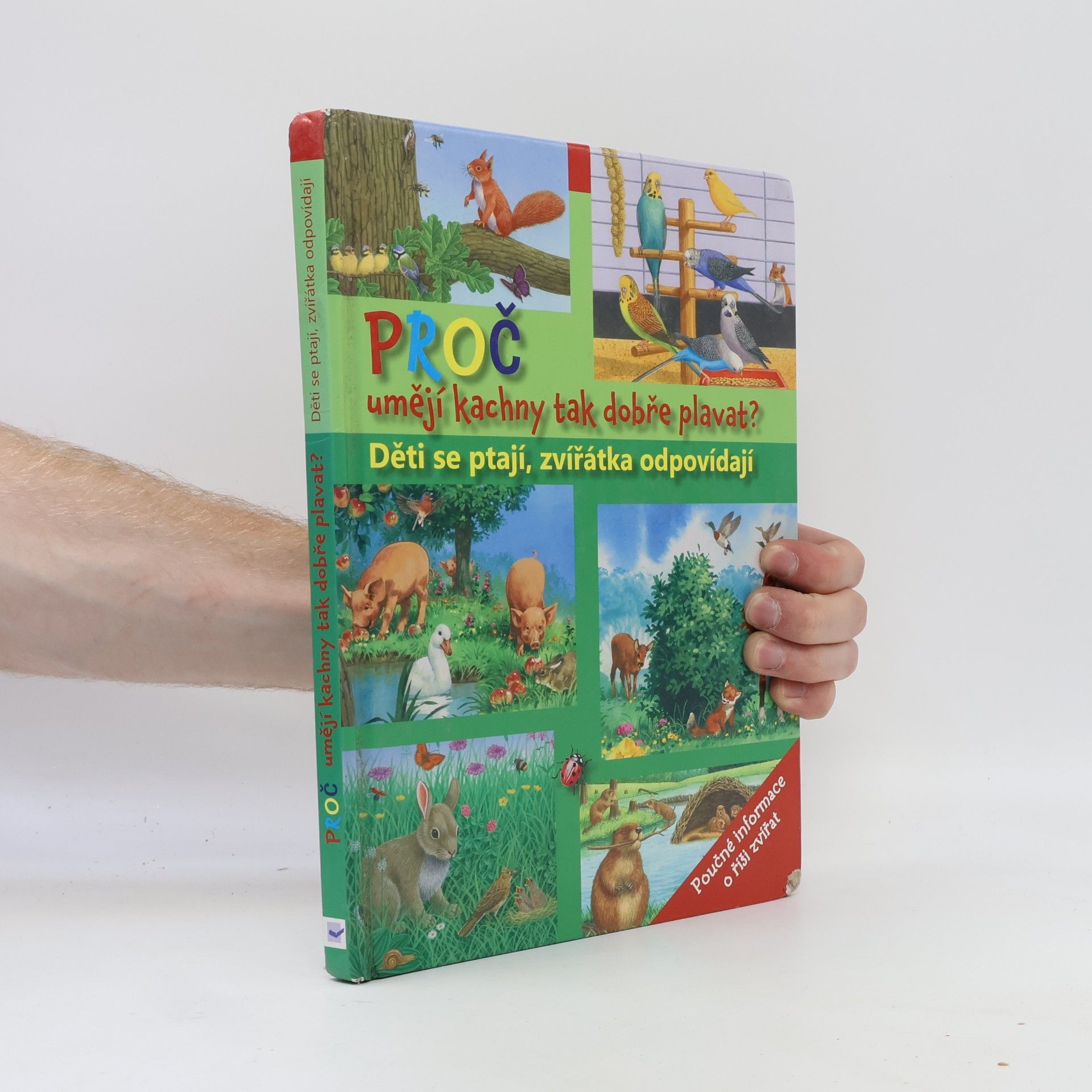 Collectif d'auteurs Proč umějí kachny tak dobře plavat? Děti se ptají, zvířátka odpovídají