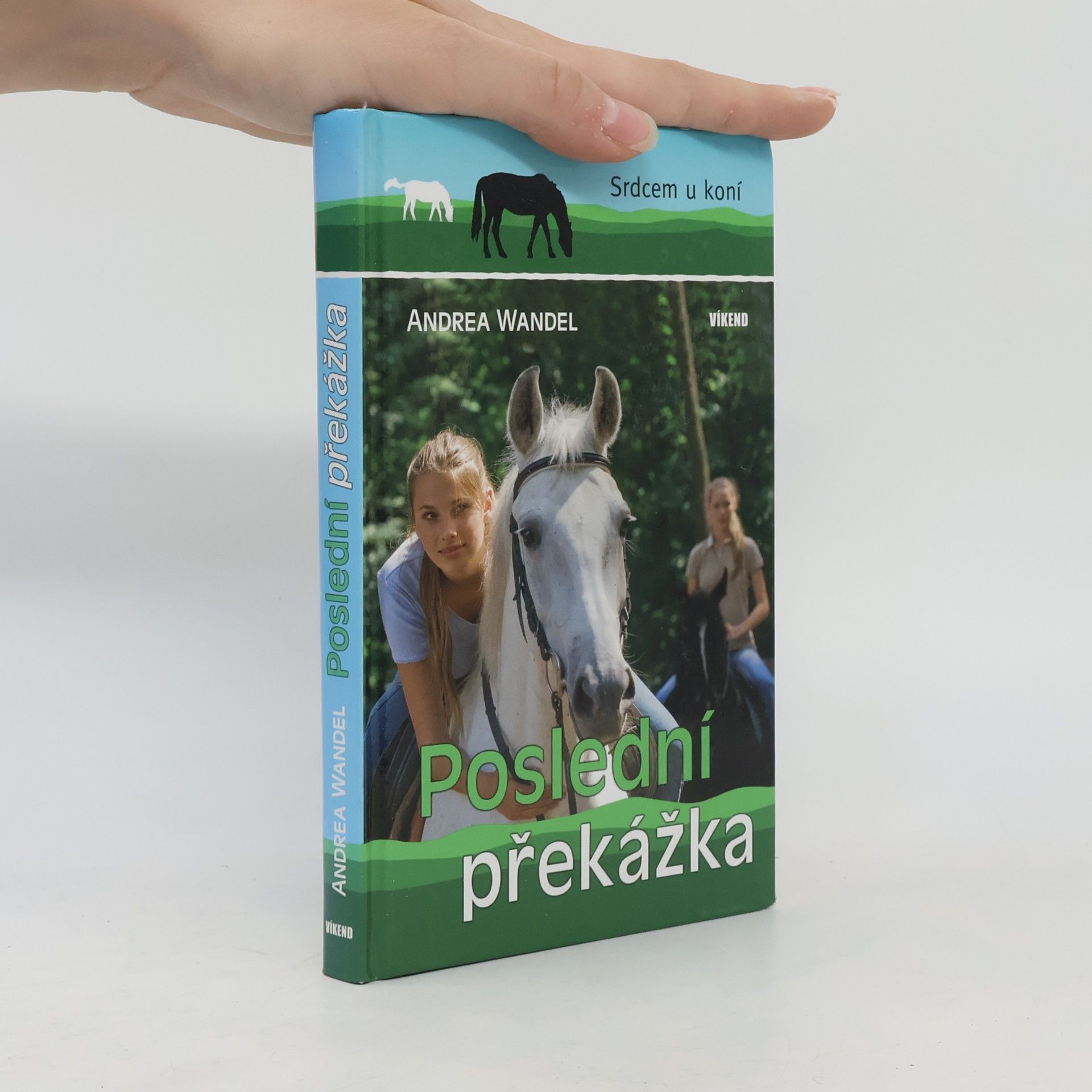 Andrea Wandel Poslední překážka