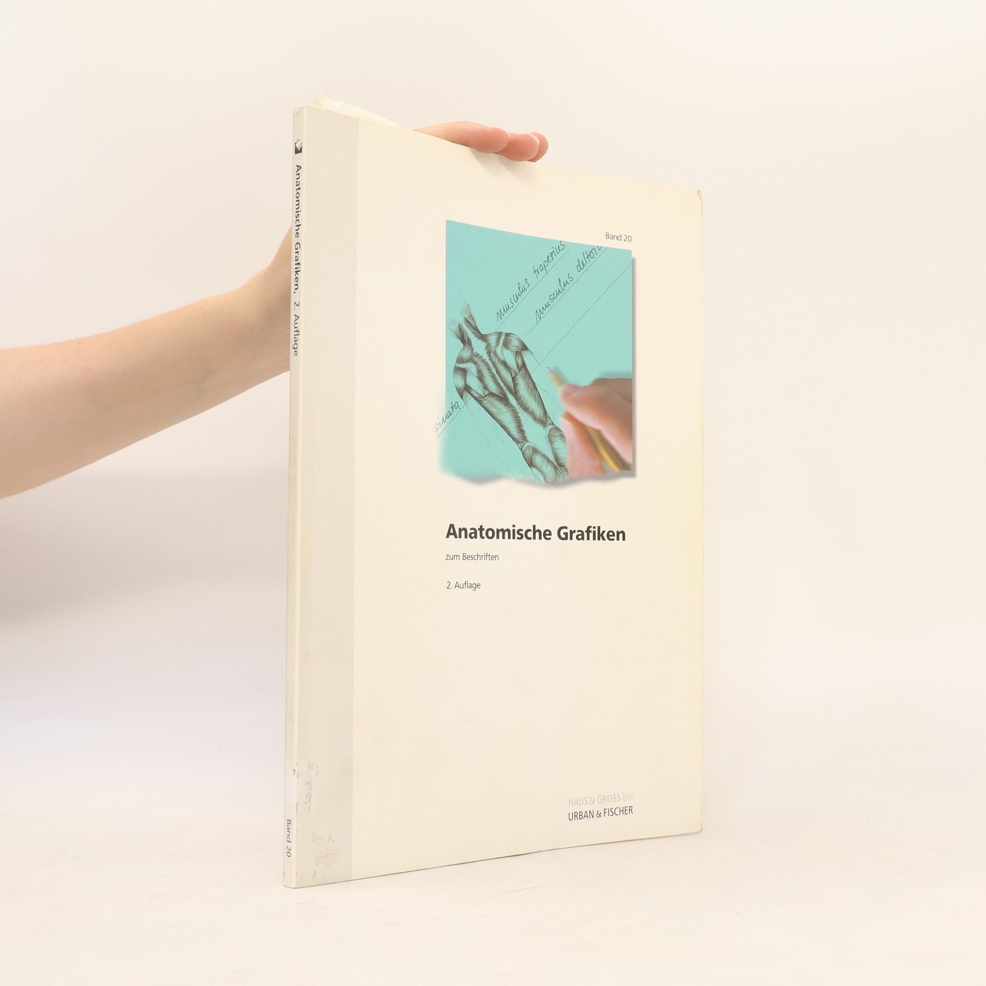 Ralf Hartenstein Anatomische Grafiken zum Beschriften - 2. Auflage