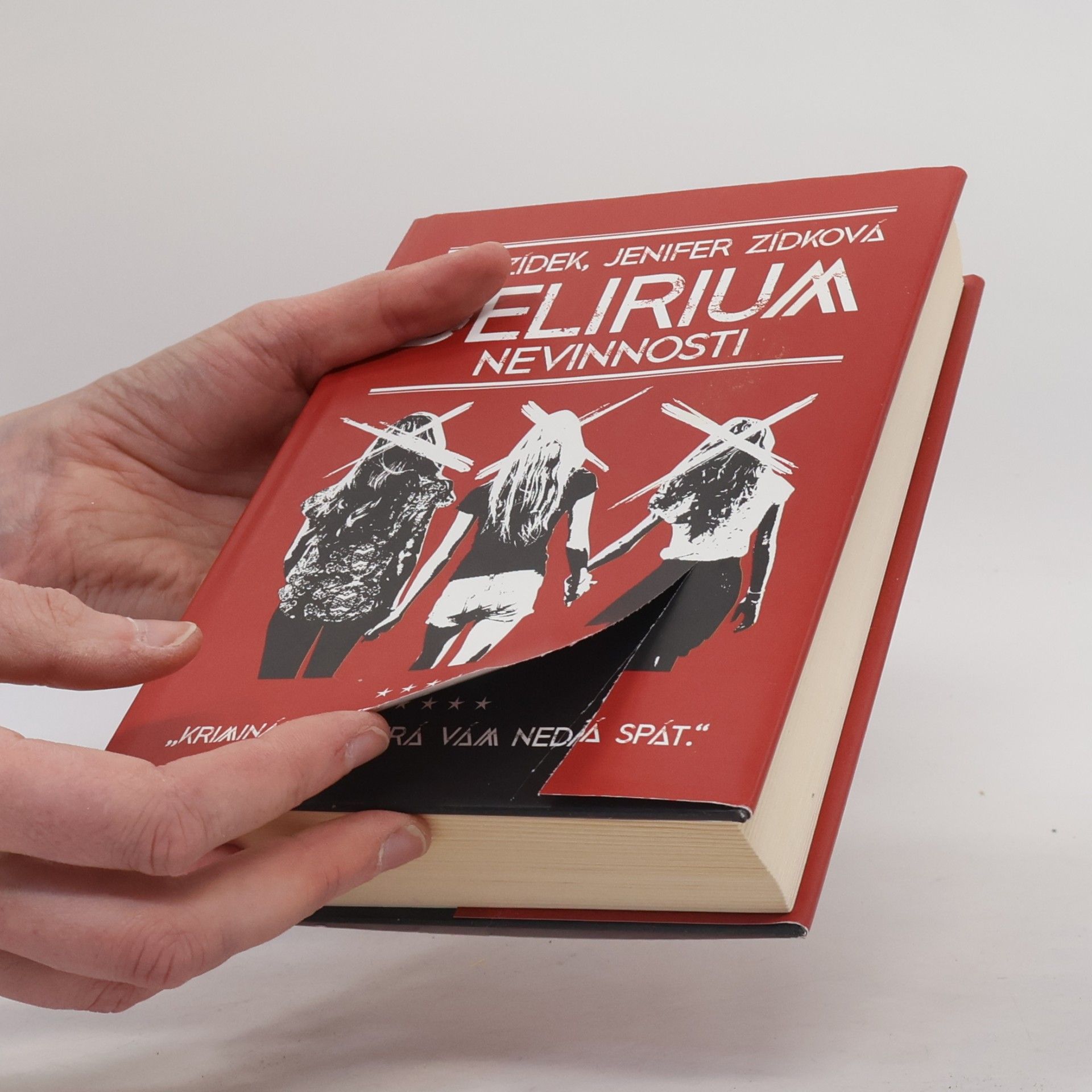 Jiří Zídek Delirium nevinnosti