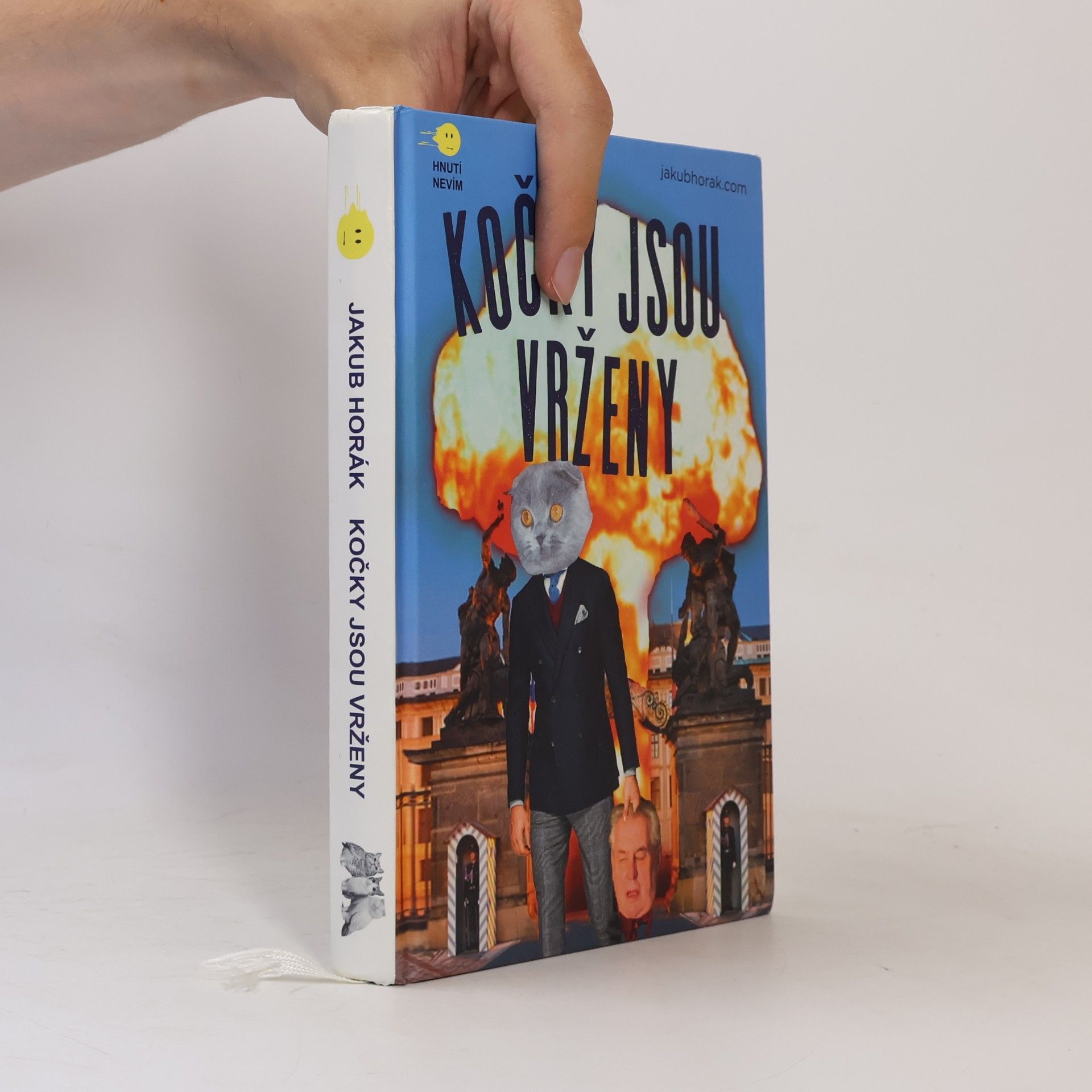 Jakub Horák Kočky jsou vrženy: Fantastický román