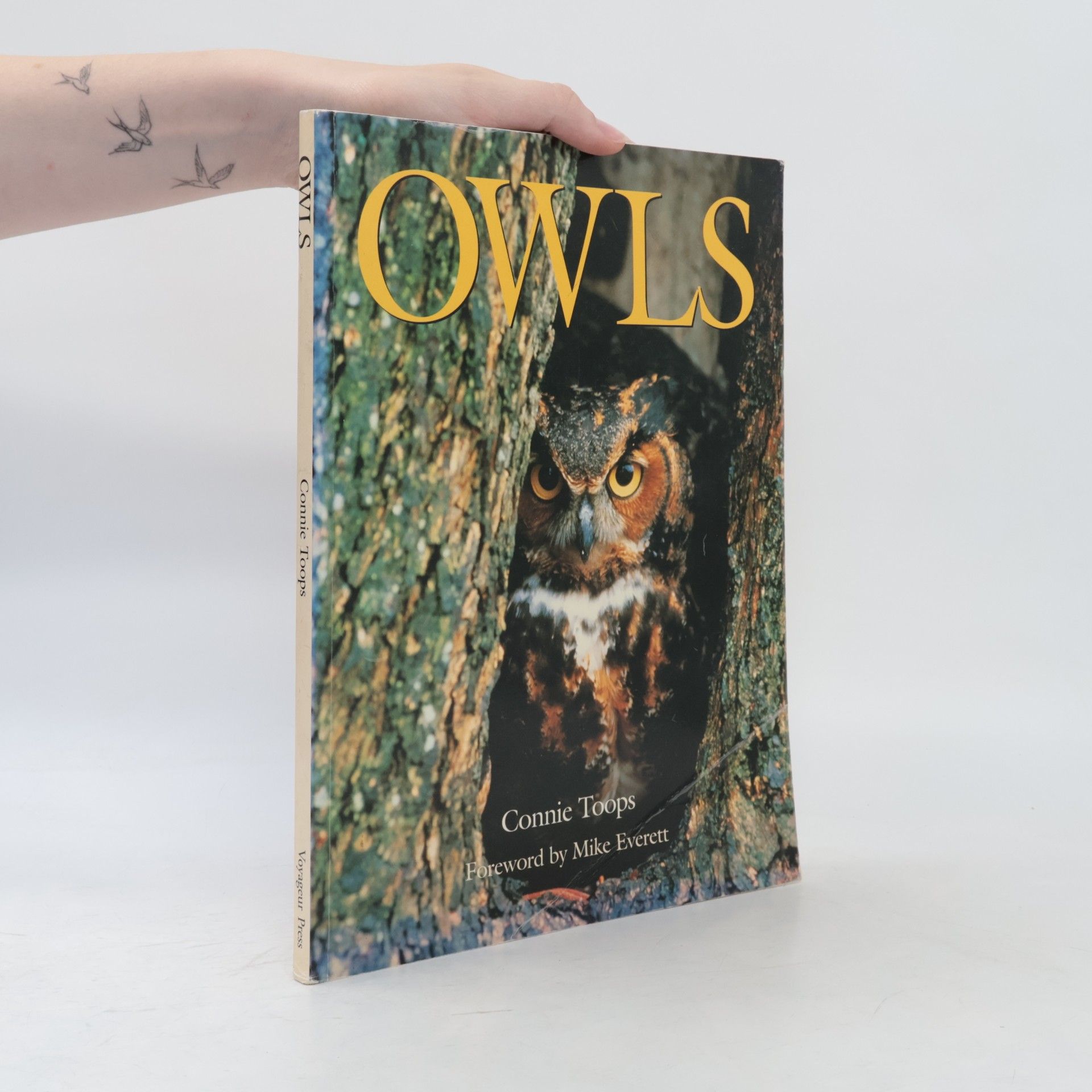 Connie Toops Owls