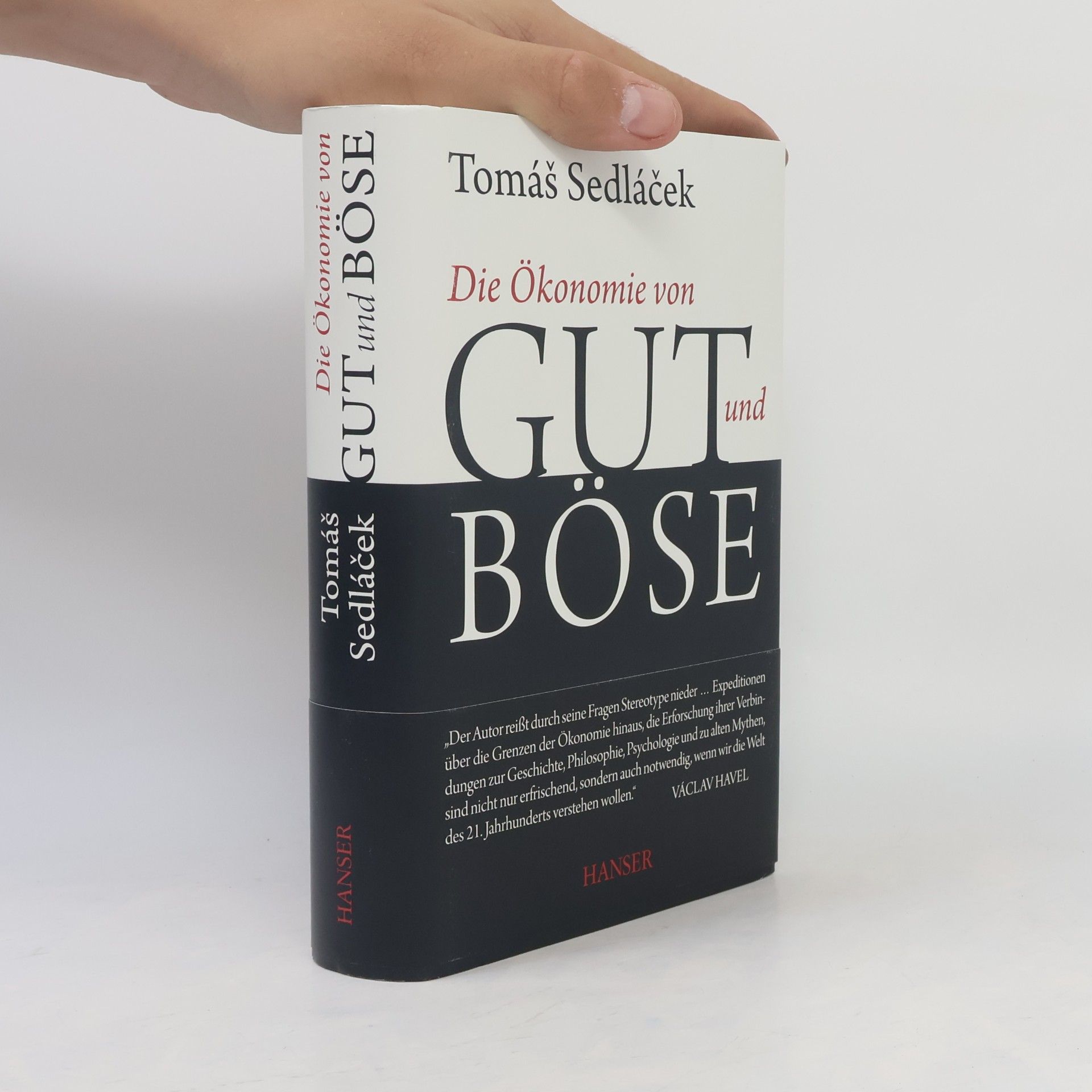 Tomáš Sedláček Die Ökonomie von Gut und Böse