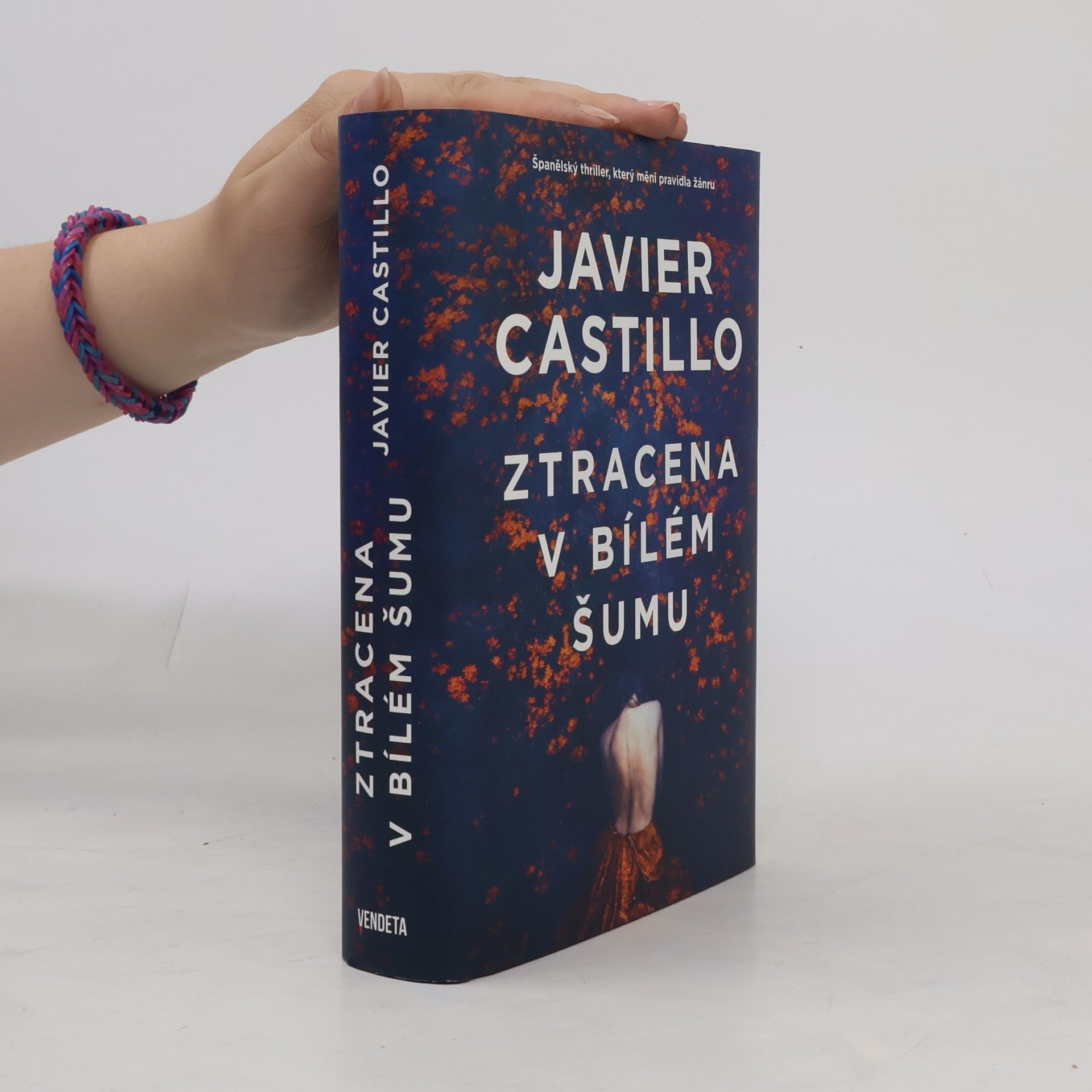 Javier Castillo Ztracena v bílém šumu