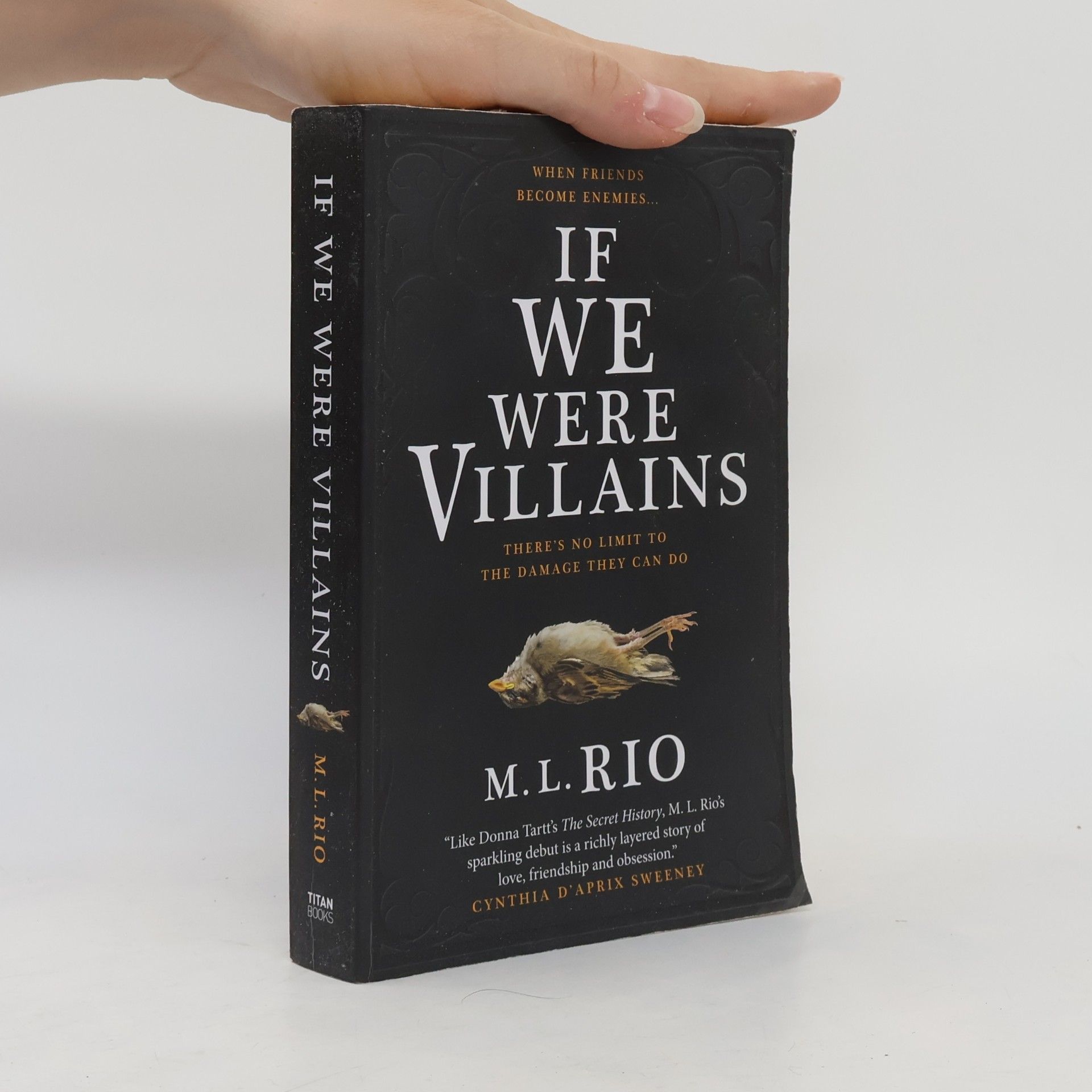 M. L. Rio If We Were Villains