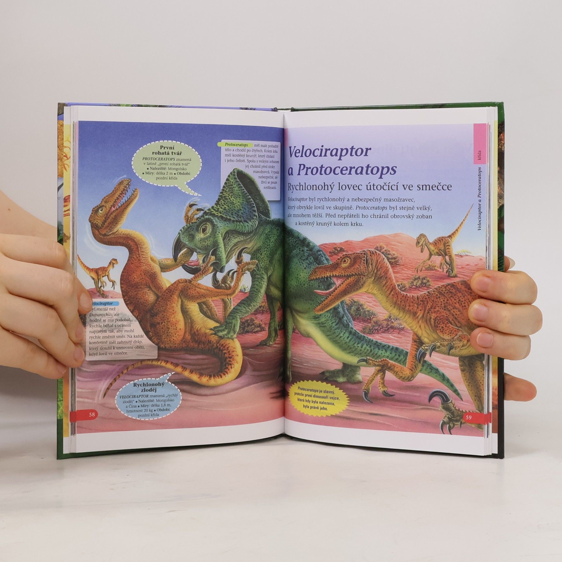 Autores varios Dinosauři - Kapesní průvodce malého paleontologa