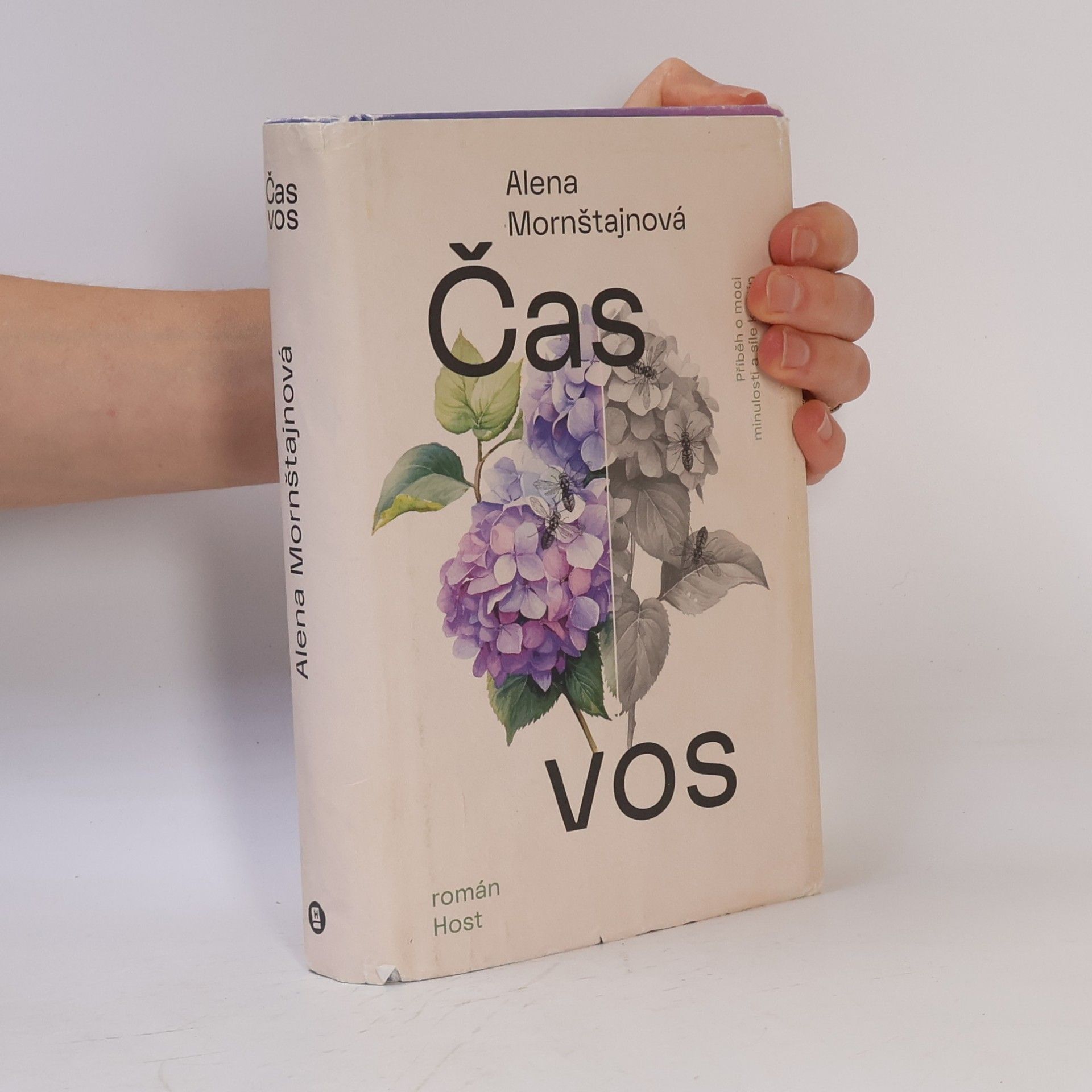 Alena Mornštajnová Čas vos
