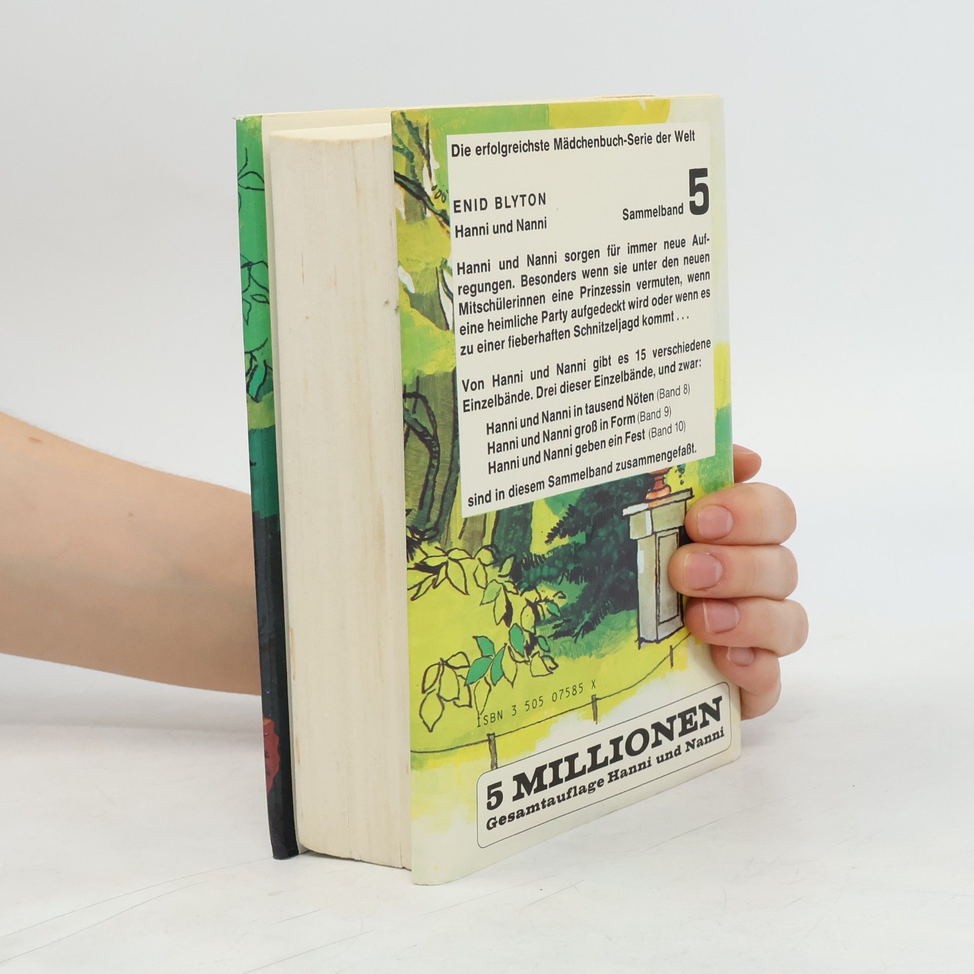 Enid Blyton Hanni und Nanni 5