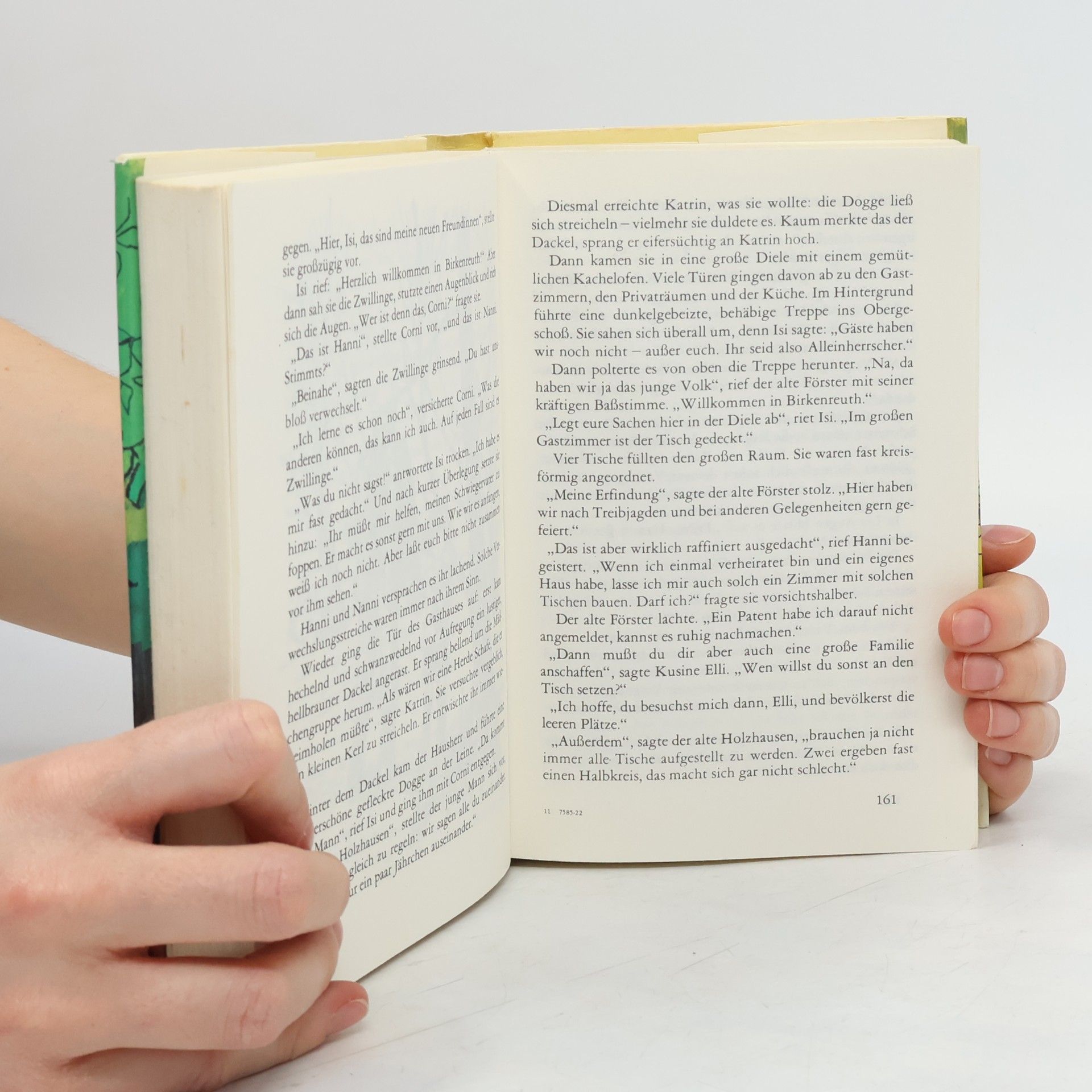 Enid Blyton Hanni und Nanni 5