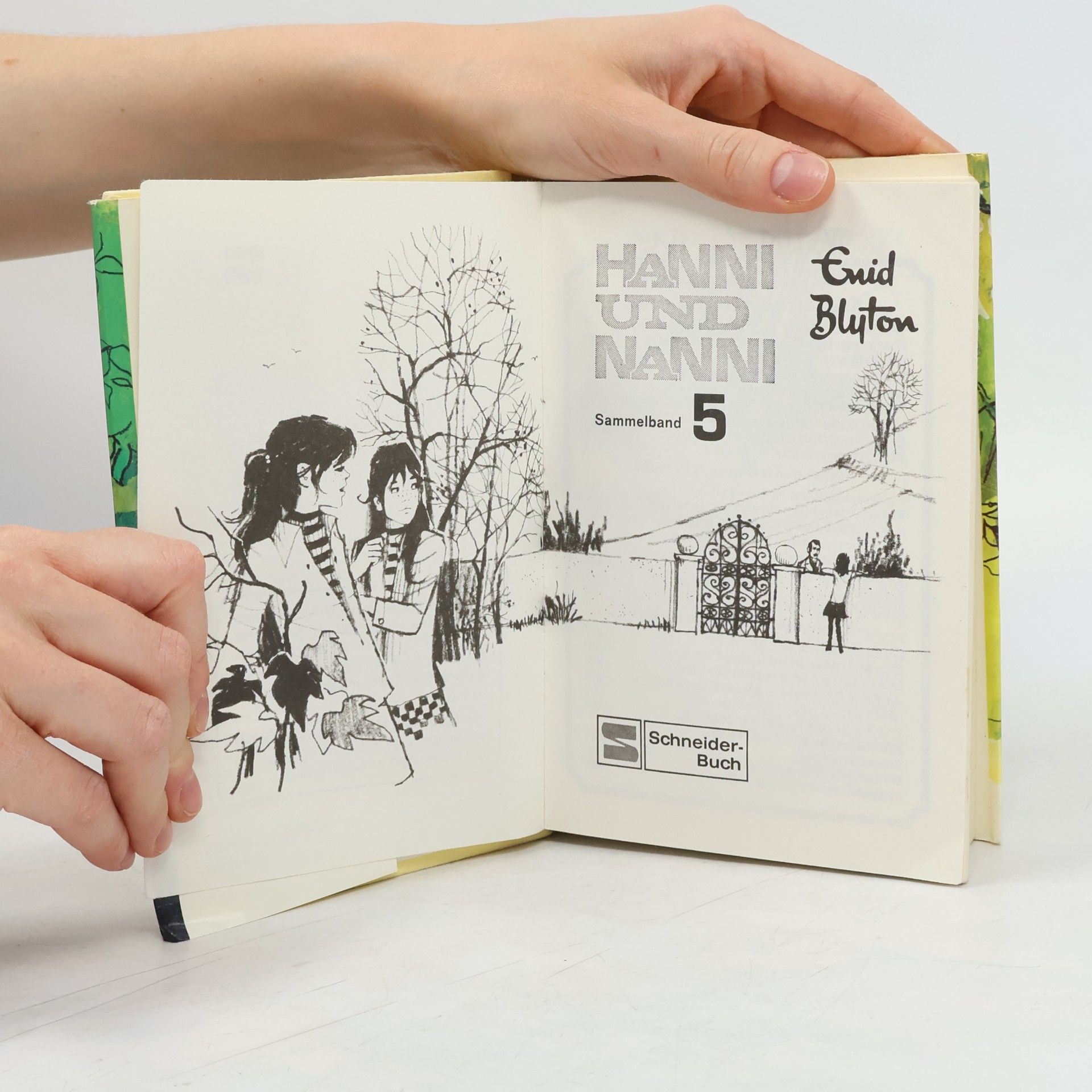 Enid Blyton Hanni und Nanni 5