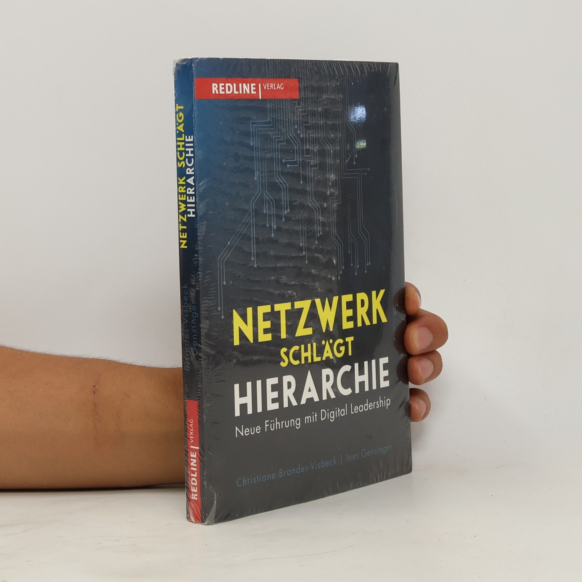 Christiane Brandes Visbeck Netzwerk schlägt Hierarchie