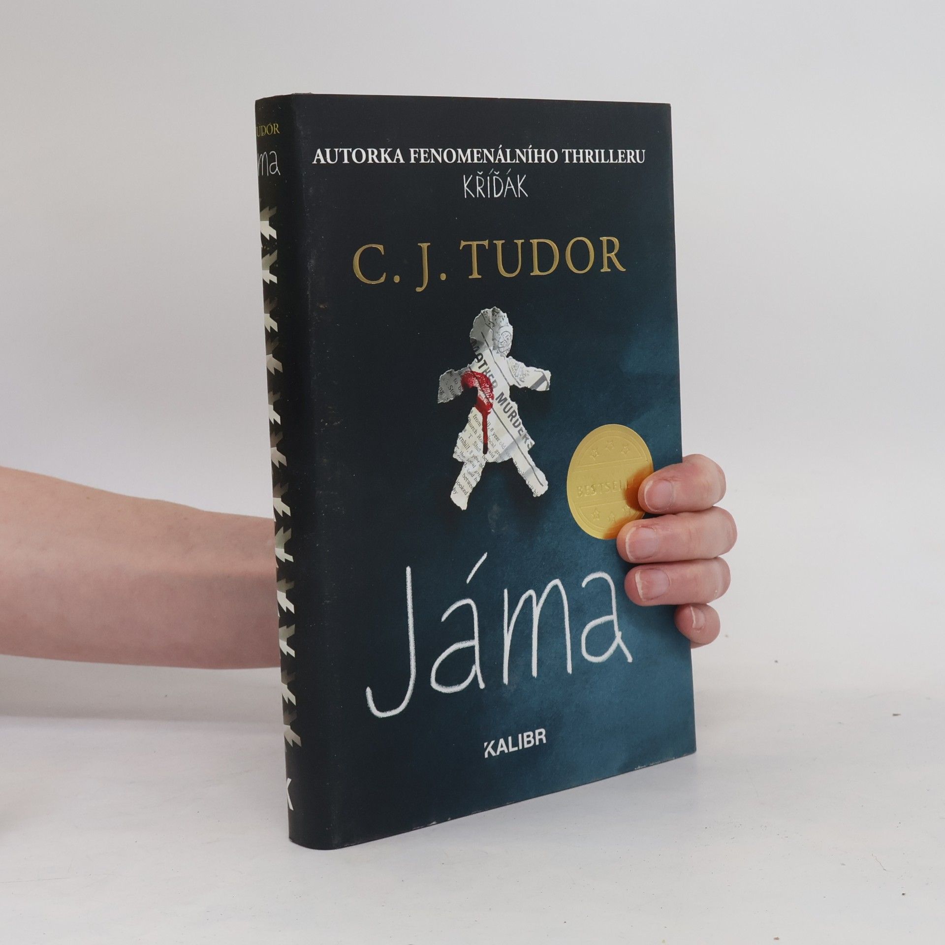 C. J. Tudor Jáma