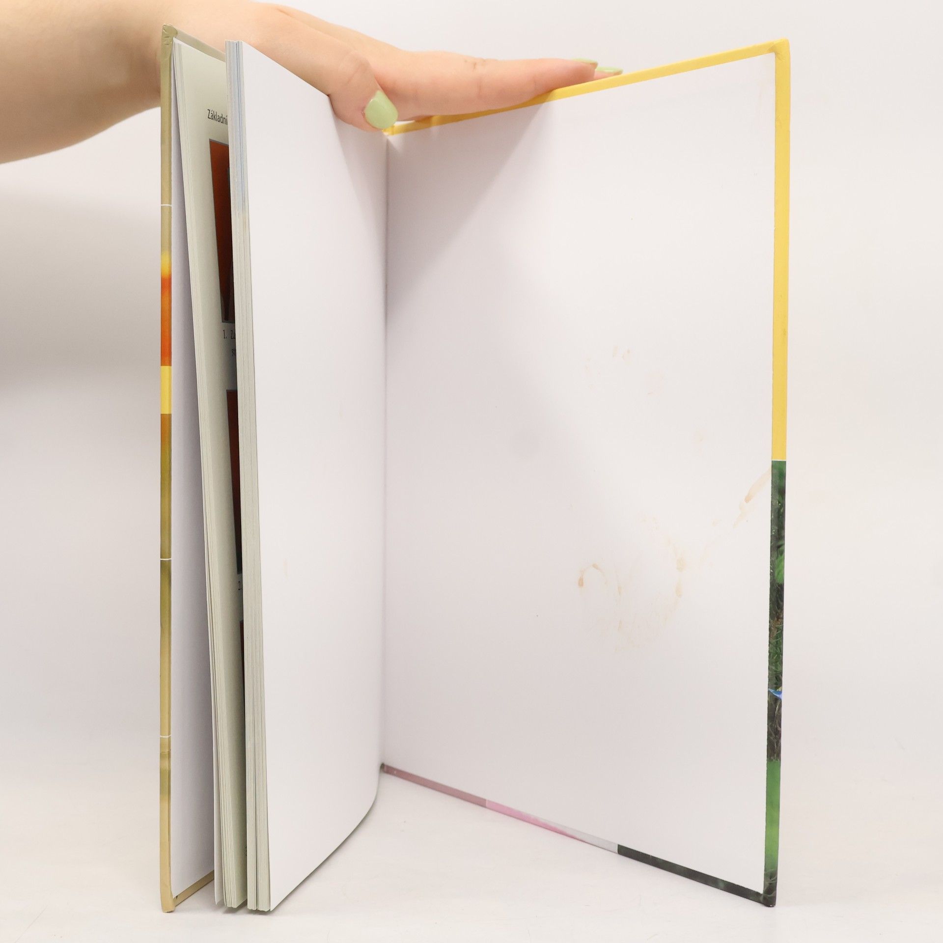 Soonboke Smith Origami pro radost