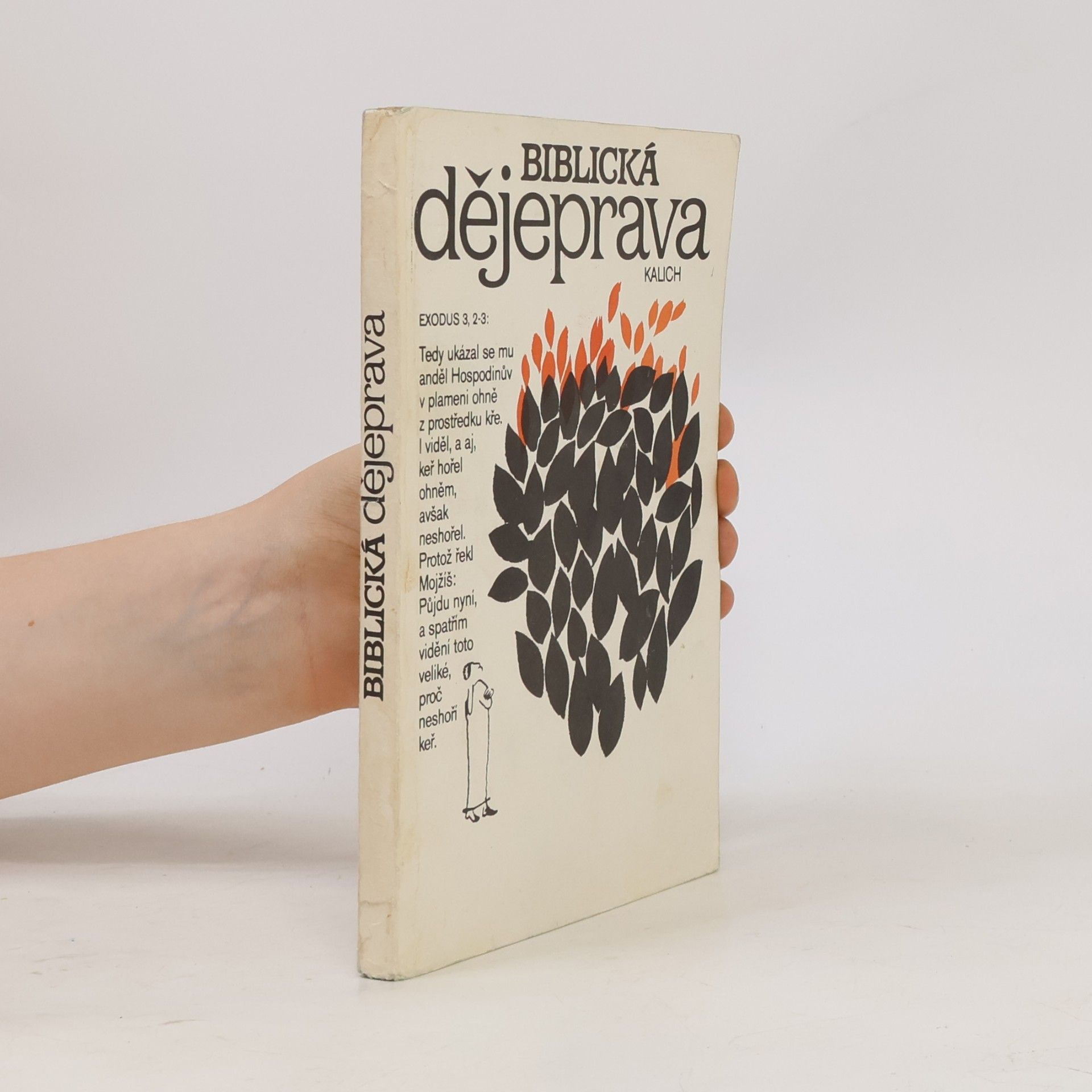 Autores varios Biblická dějeprava