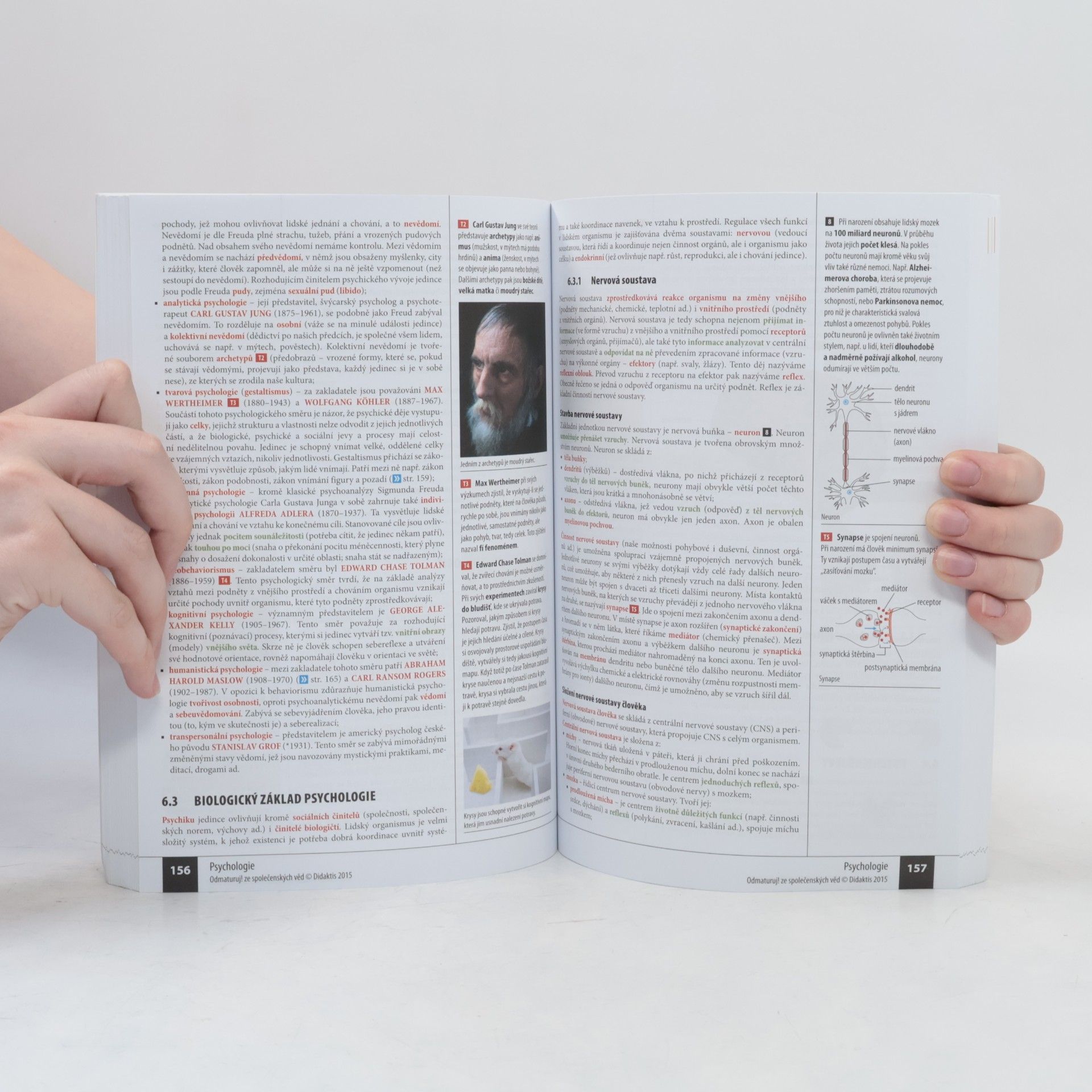 Autorenkollektiv Odmaturuj! ze společenských věd