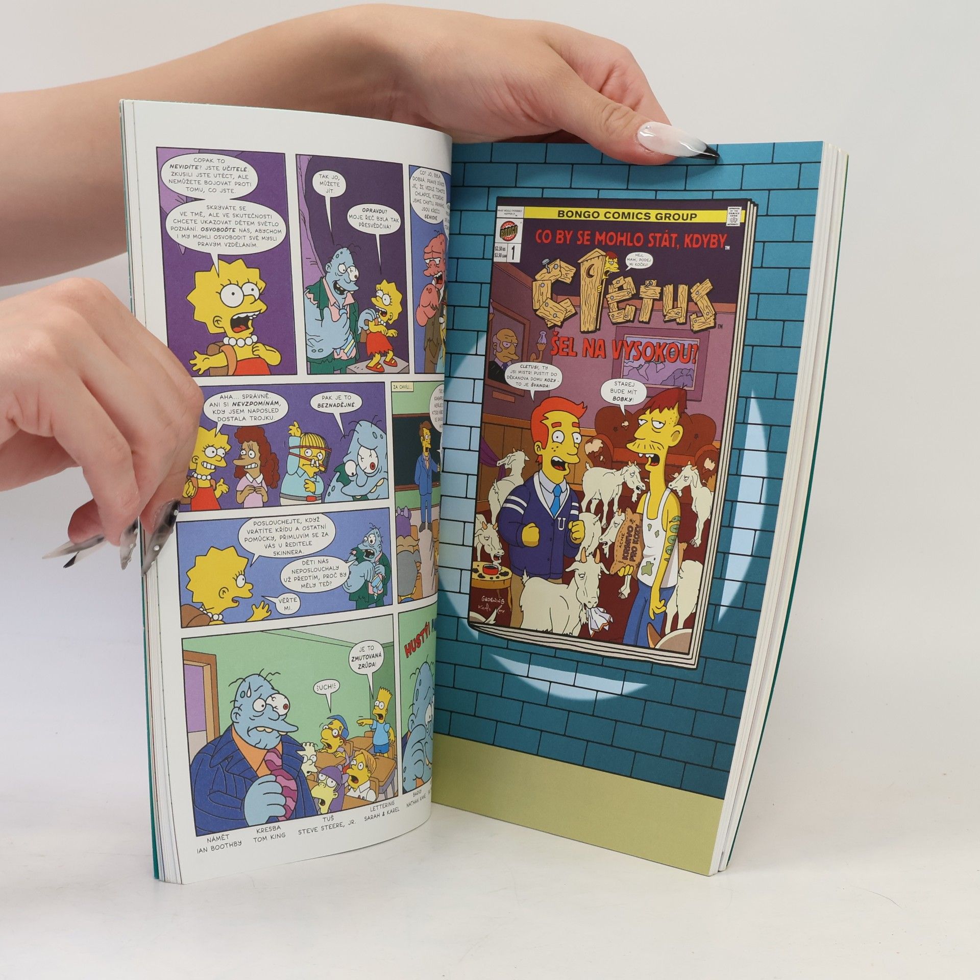 Matt Groening Simpsonovi: Komiks k popukání