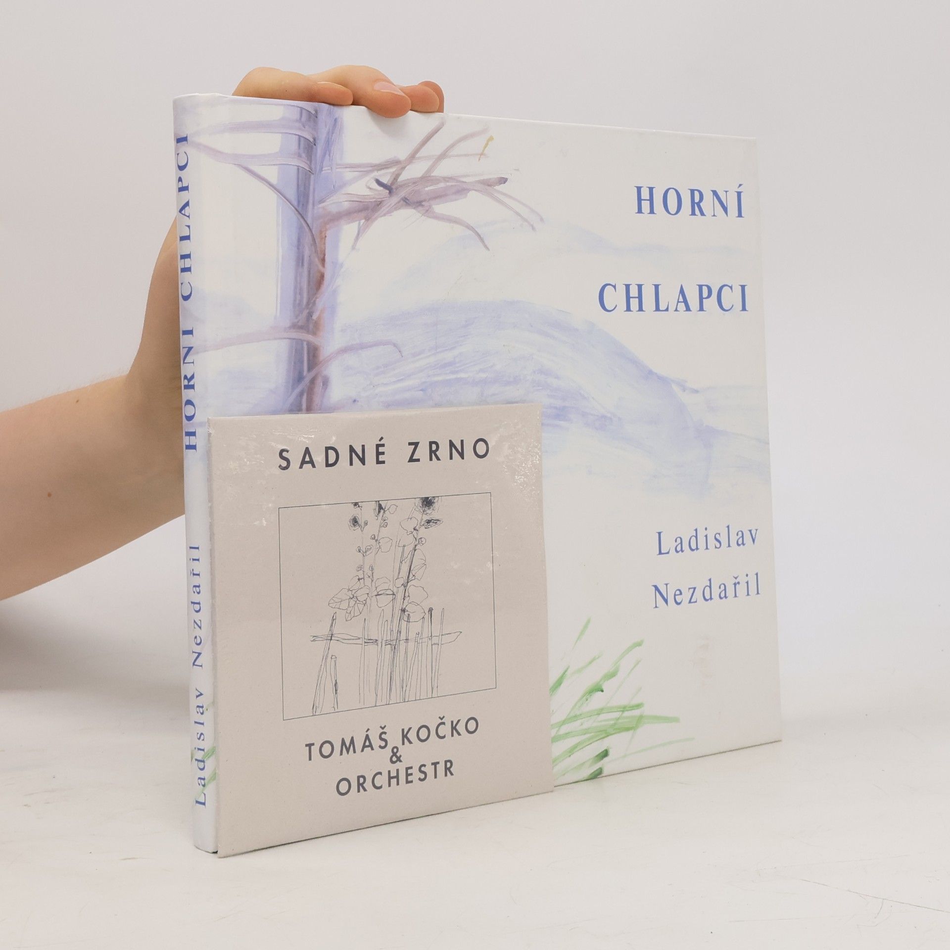 Ladislav Nezdařil Horní chlapci