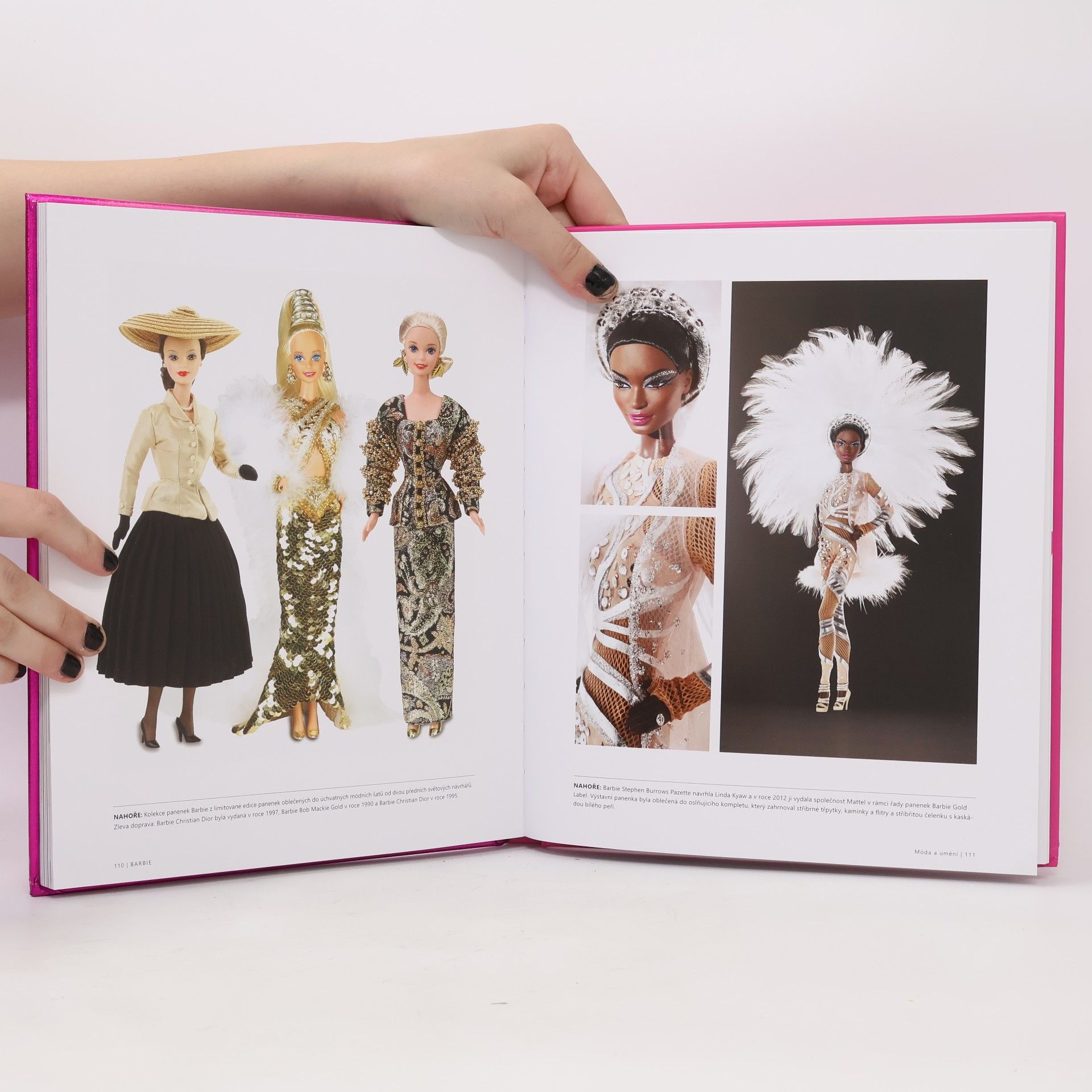 Robin Gerber Barbie: Její inspirace, historie, odkaz
