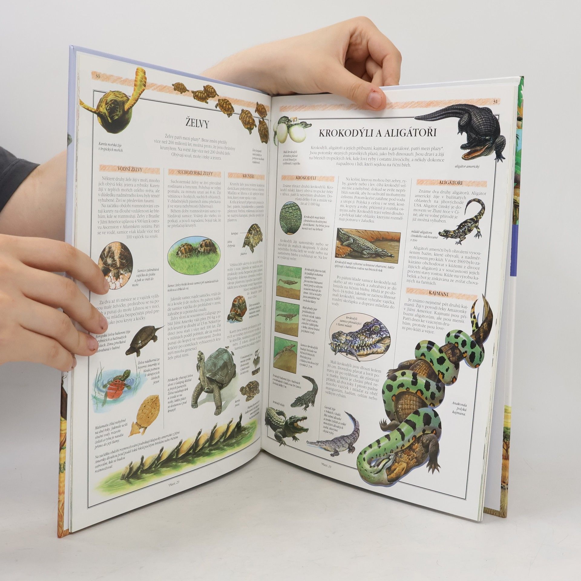 Various authors Svět přírody. Ottova ilustrovaná encyklopedie