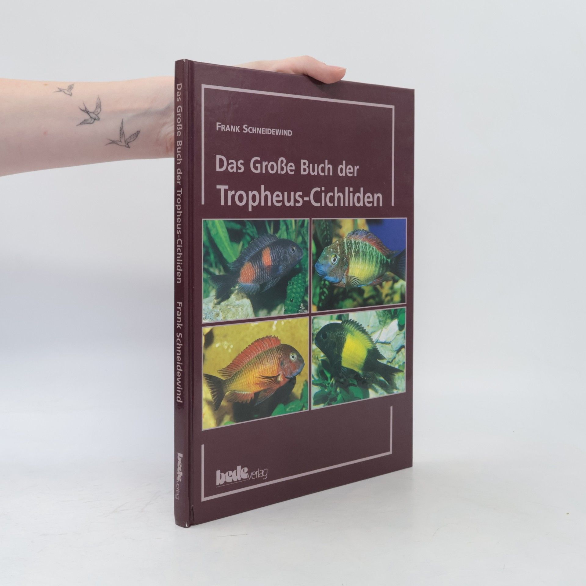 Frank Schneidewind Das Grosse Buch der Tropheus-Cichliden