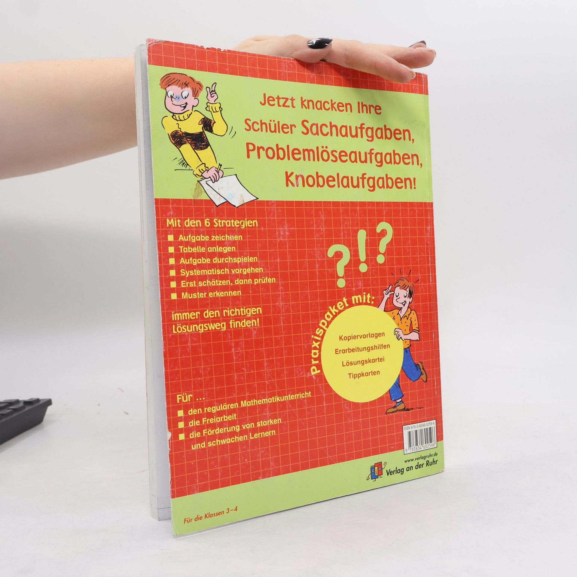 Karen J. Goldfluss Sachaufgaben verstehen 1. Klasse 3/4