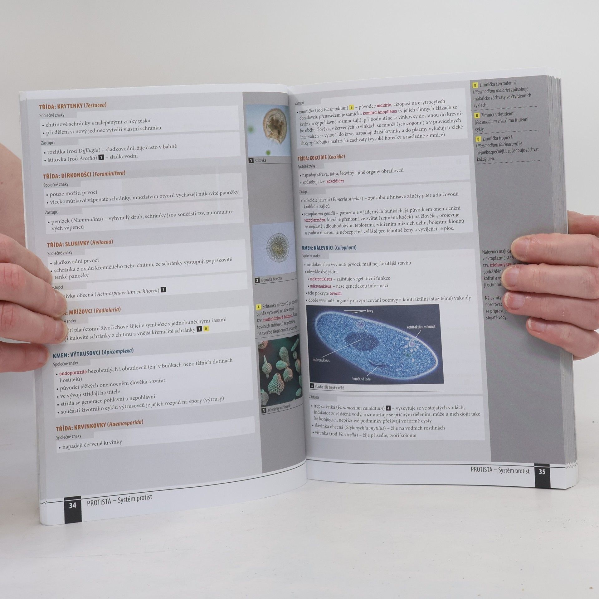 AA.VV. Odmaturuj! z biologie