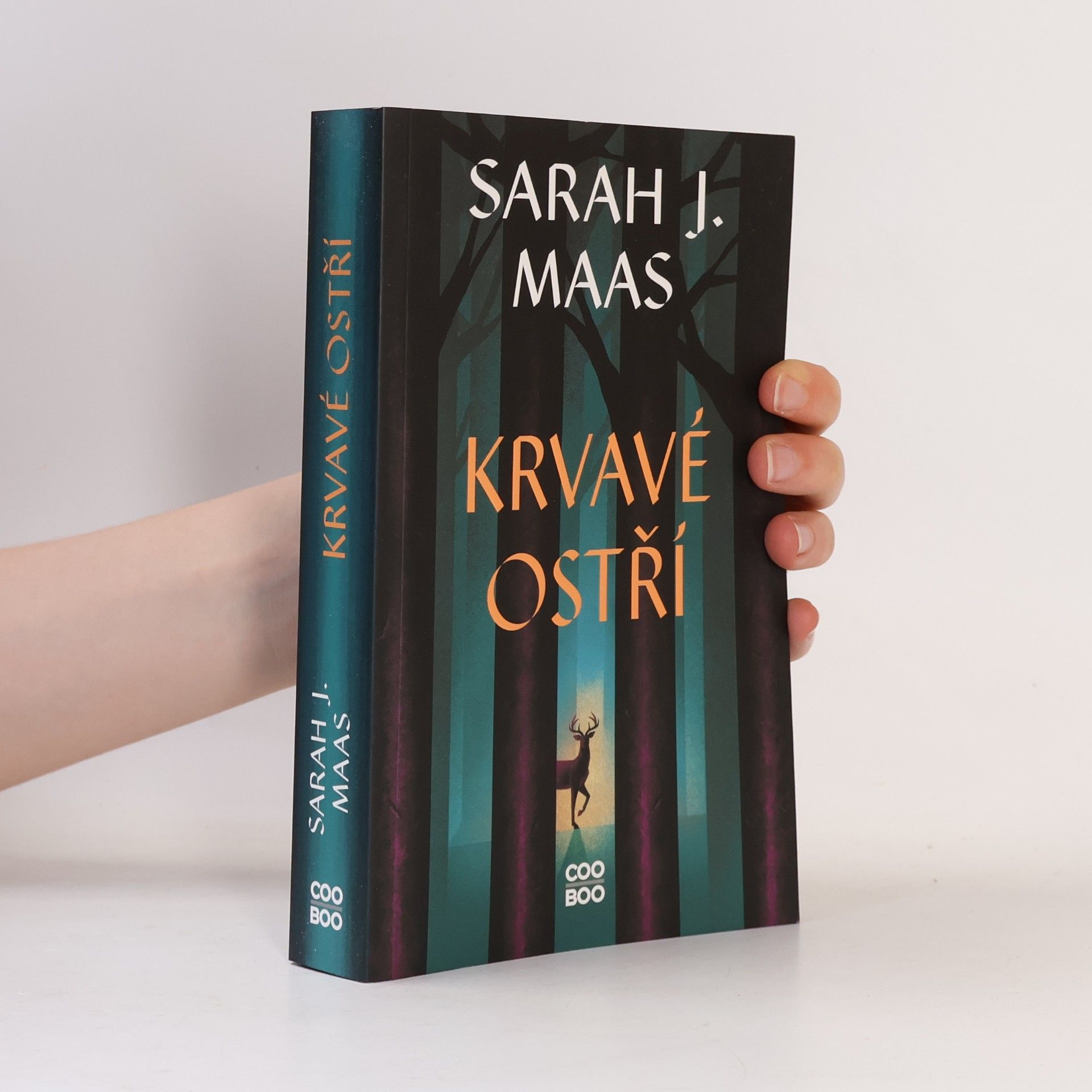 Sarah J. Maas Krvavé ostří