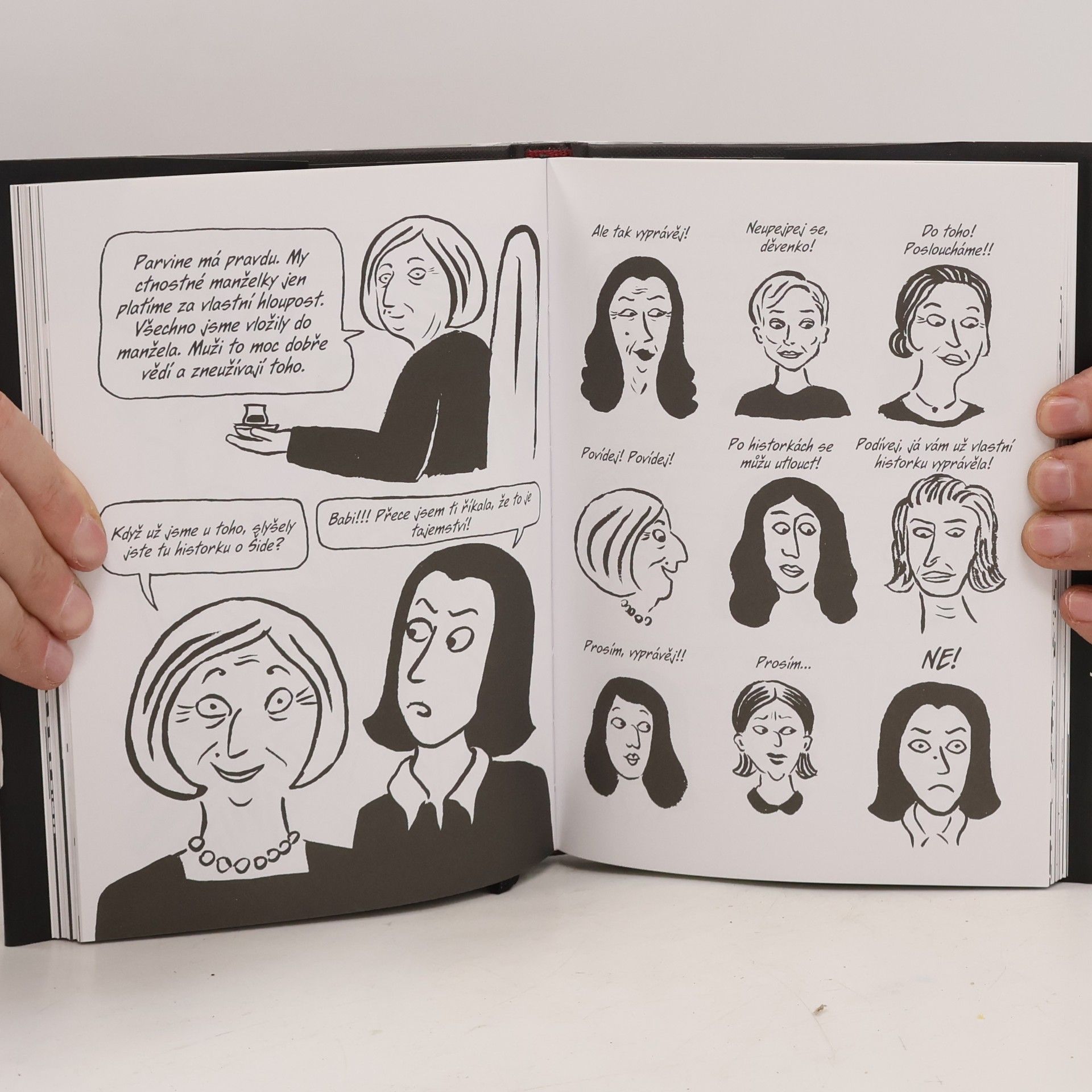 Marjane Satrapi Šitíčko