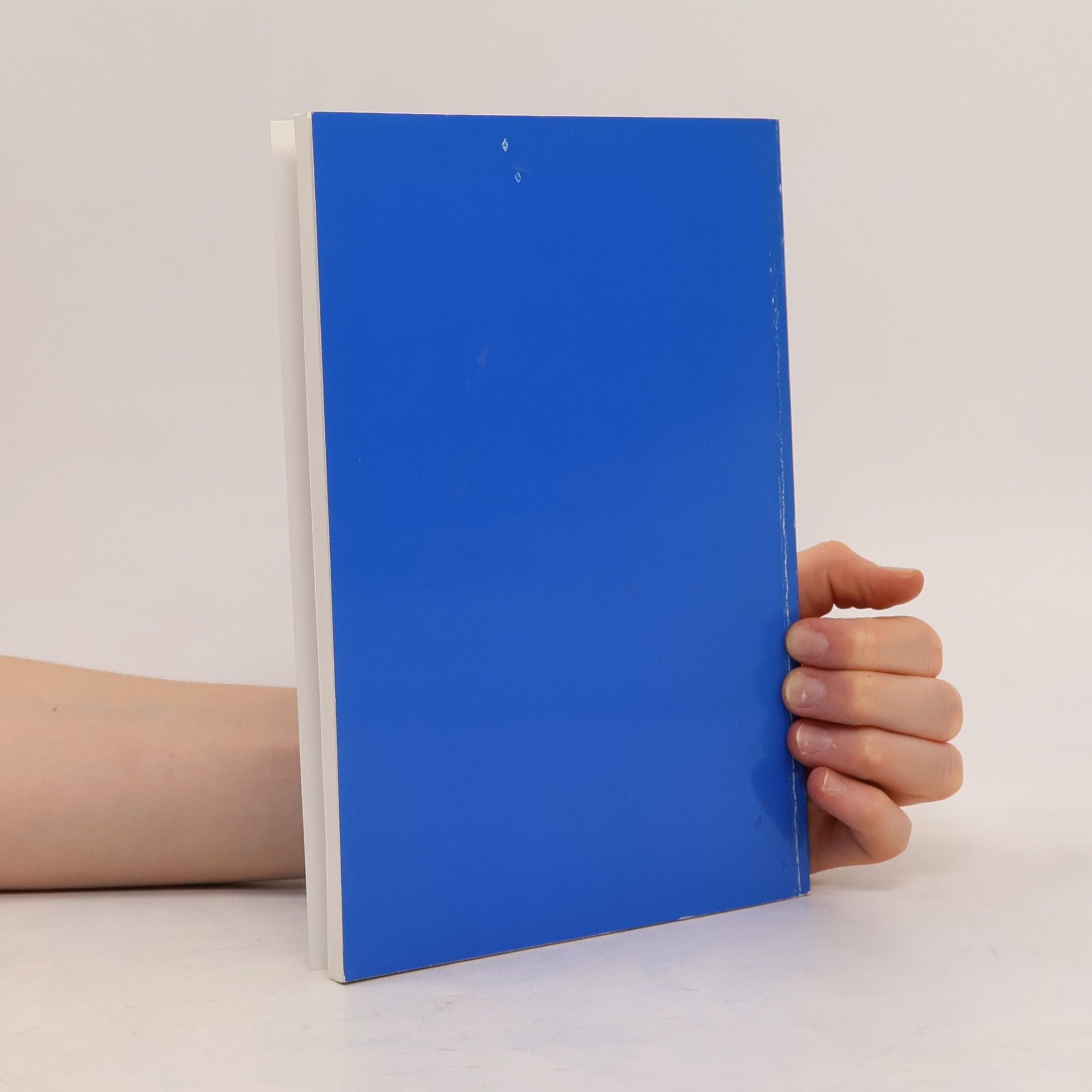 Emil Werner Sein letztes Buch