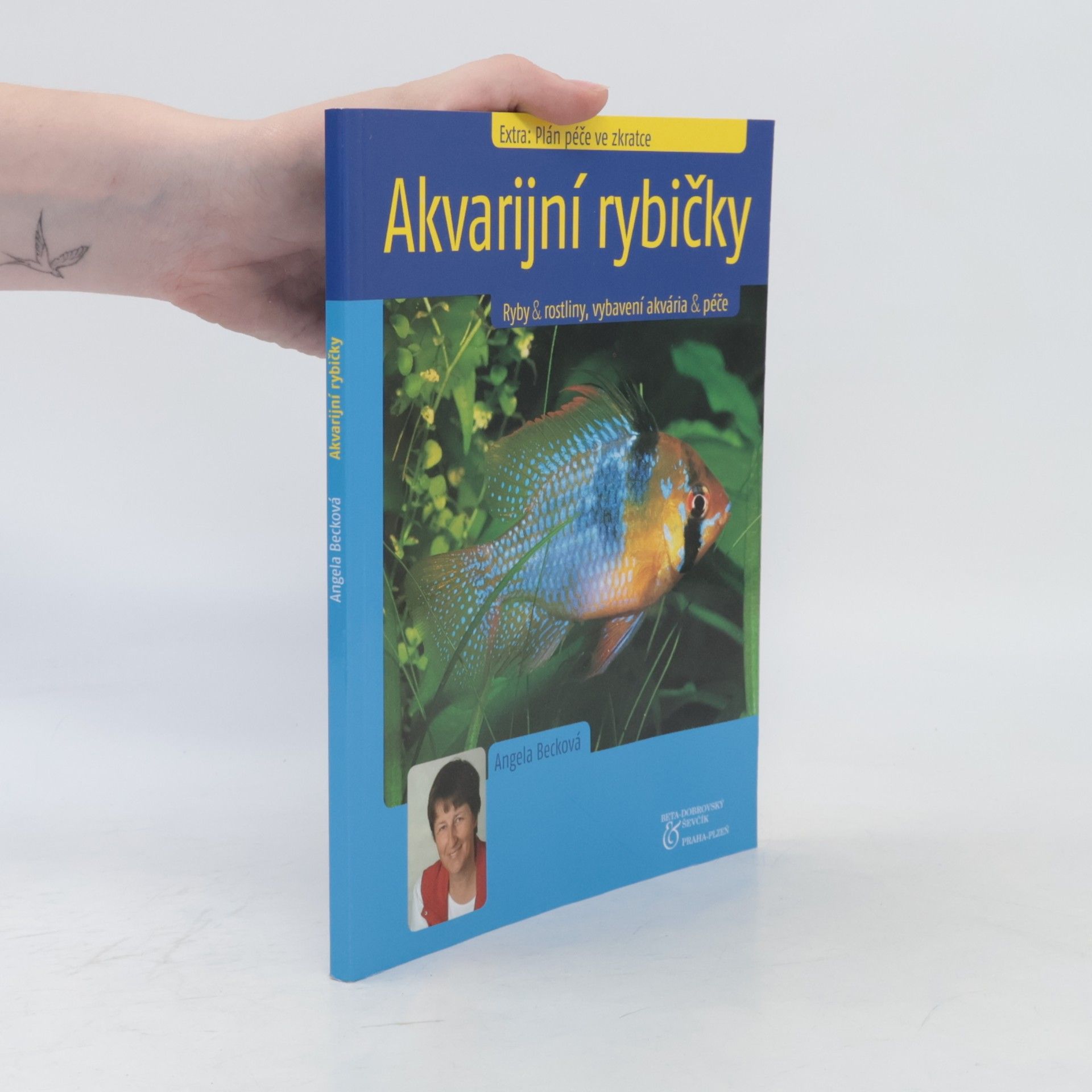 Angela Beck Akvarijní rybičky. Ryby & rostliny, vybavení akvária & péče