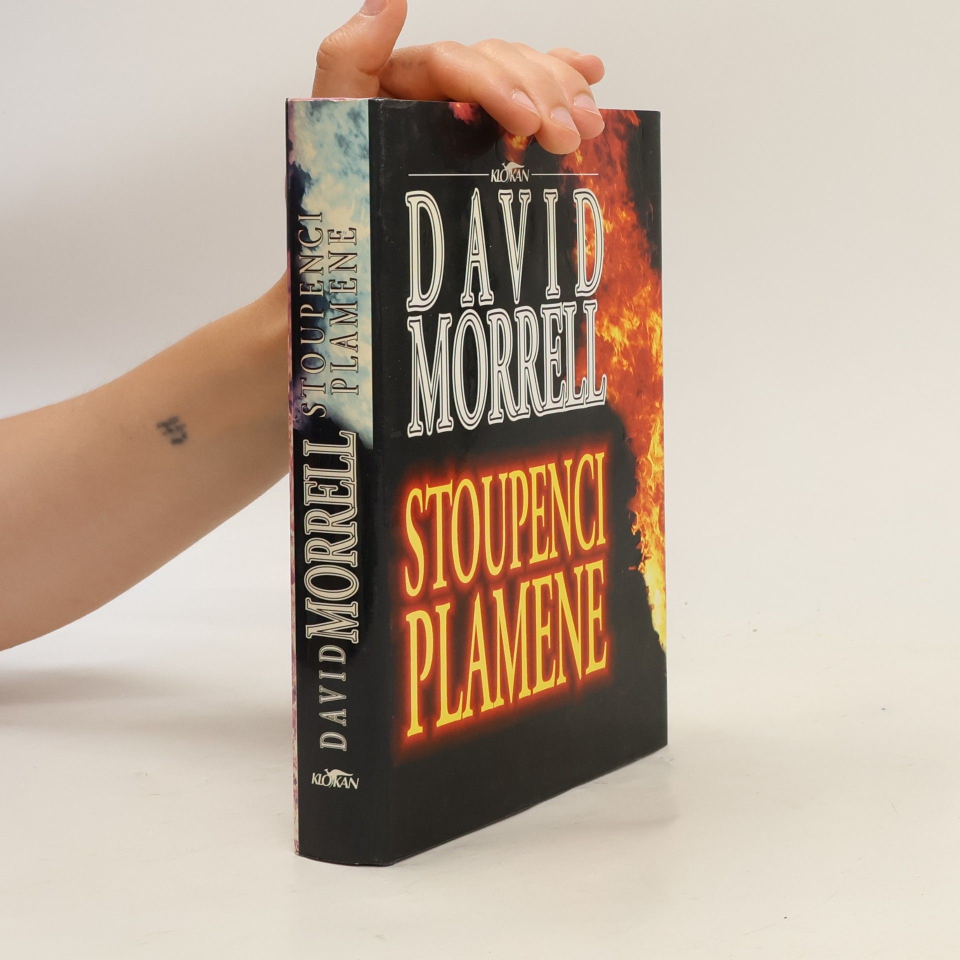David Morrell Stoupenci plamene