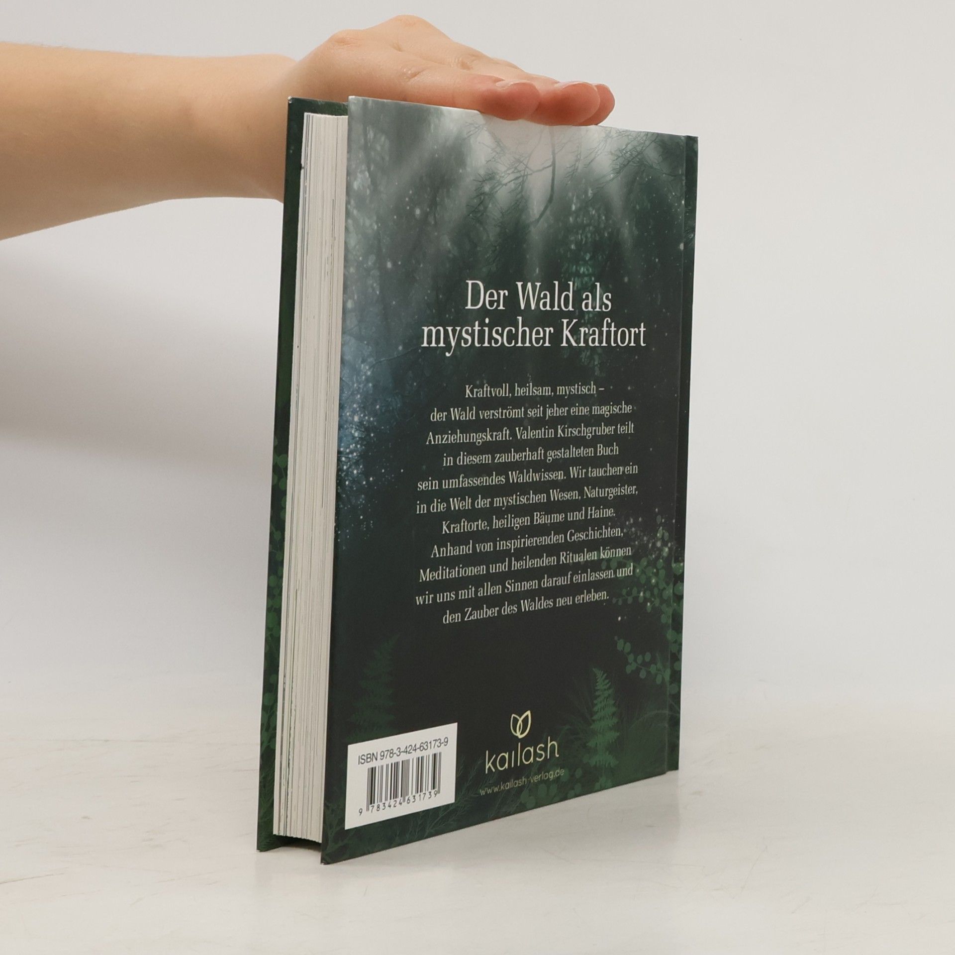 Valentin Kirschgruber Die Magie des Waldes